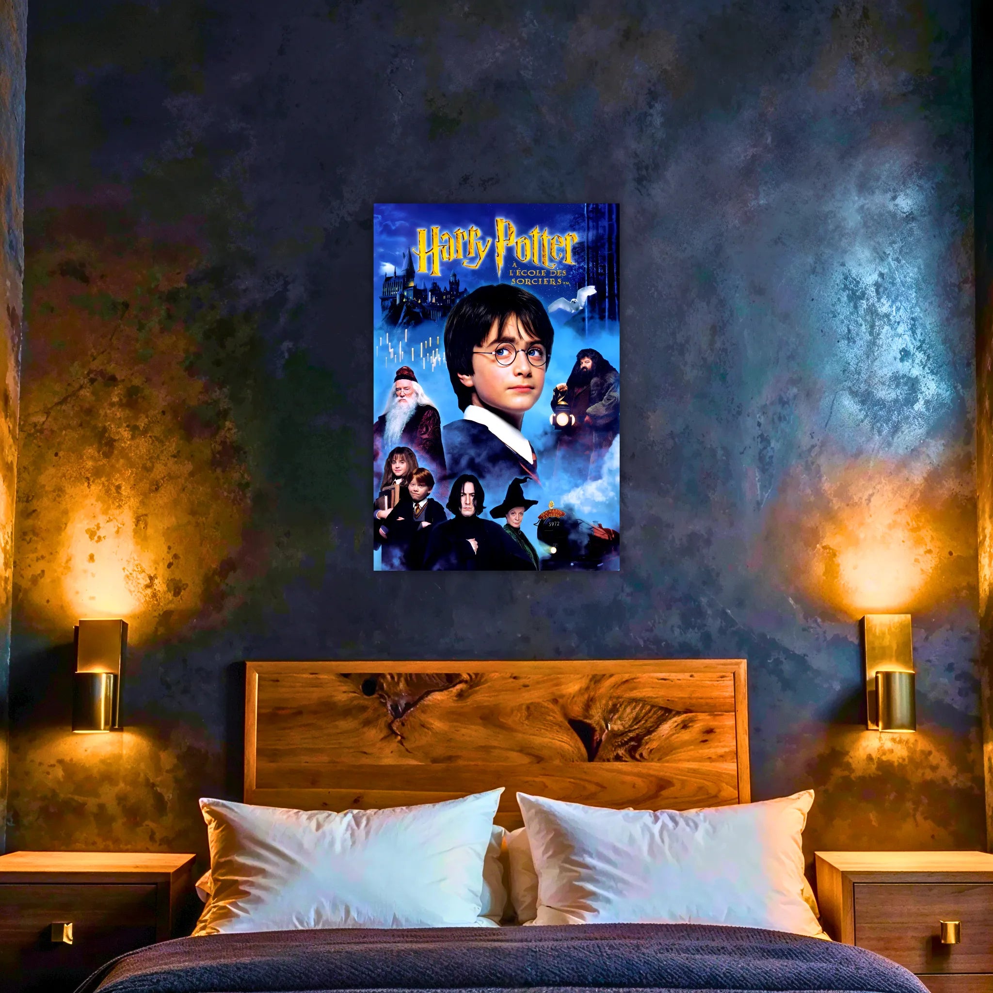 tableau-harry-potter-a-ecole-des-sorciers | DreamWay