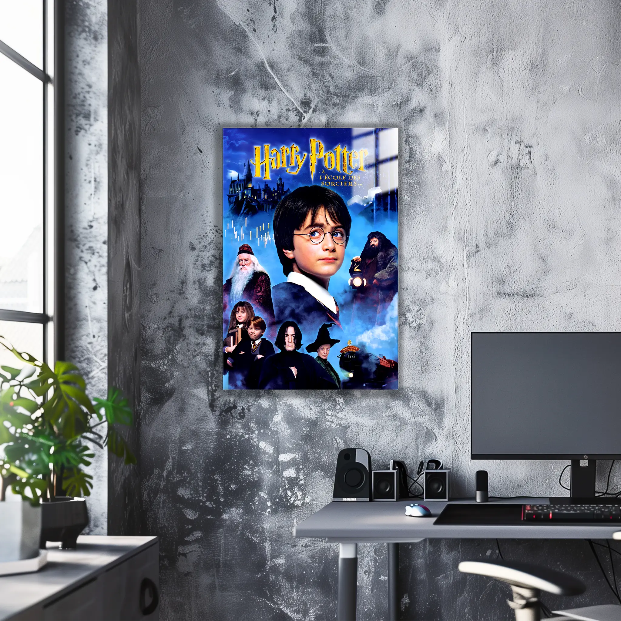 tableau-harry-potter-a-ecole-des-sorciers | DreamWay
