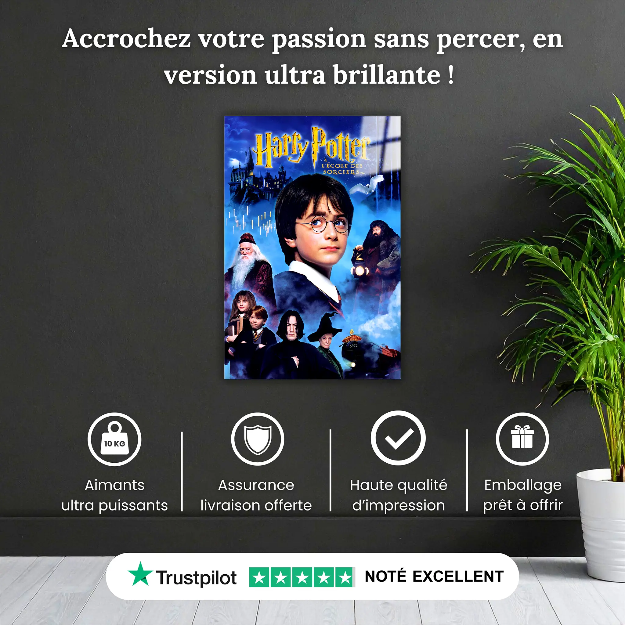 tableau-harry-potter-a-ecole-des-sorciers-pourquoi-acheter | DreamWay