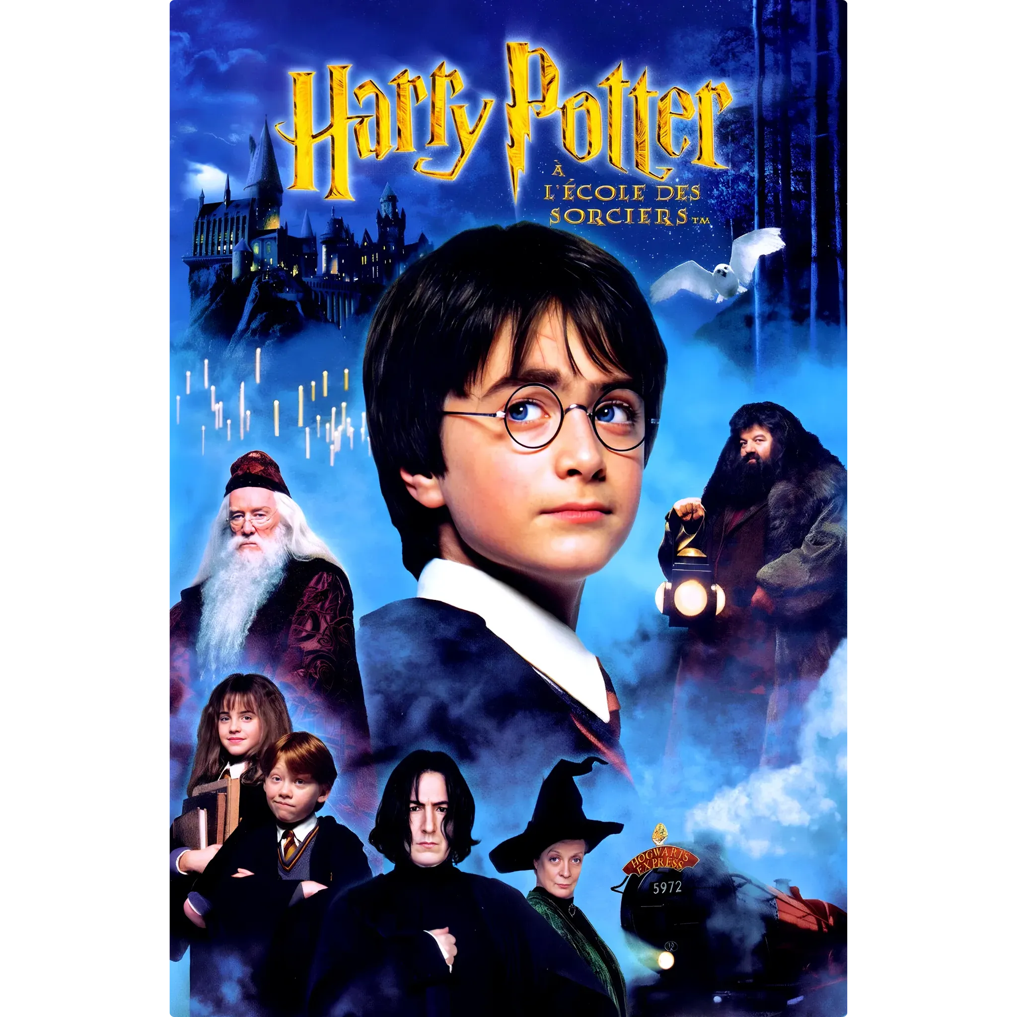 tableau-harry-potter-a-ecole-des-sorciers | DreamWay