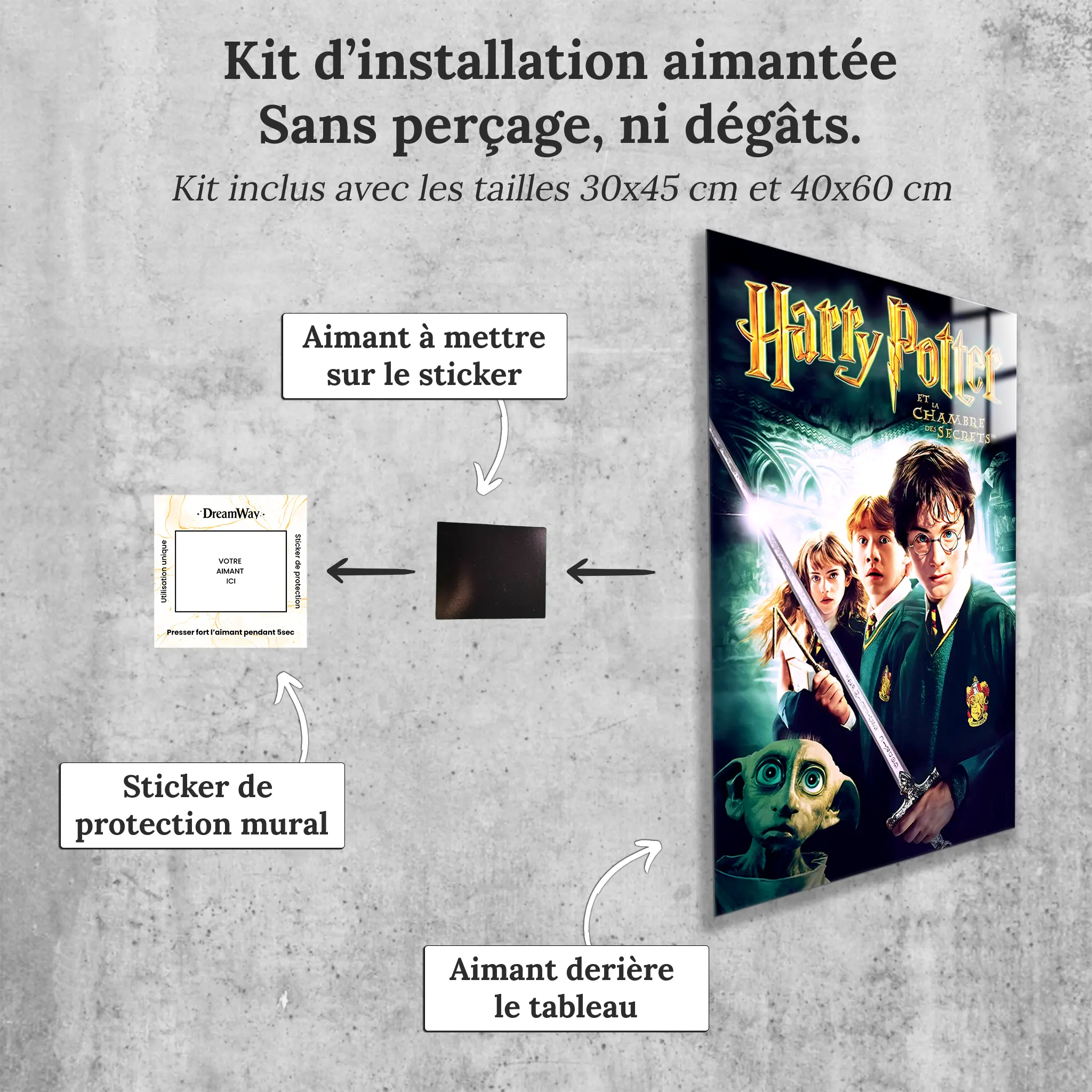 tableau-harry-potter-et-la-chambre-des-secrets-avec-installation-aimantee | DreamWay
