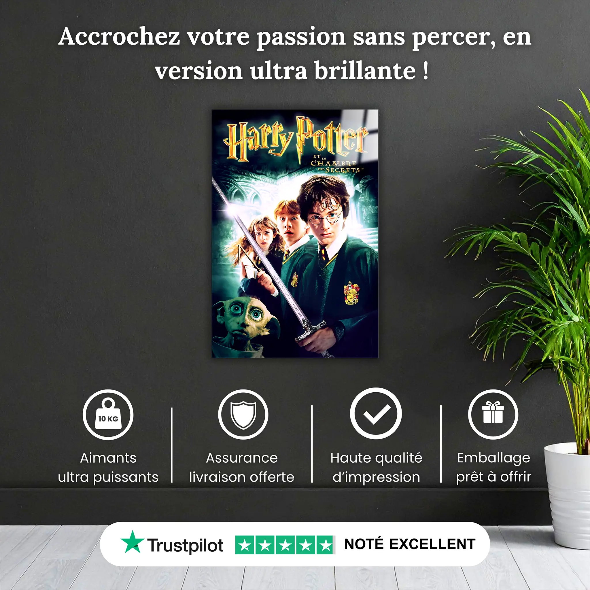 tableau-harry-potter-et-la-chambre-des-secrets-pourquoi-acheter | DreamWay