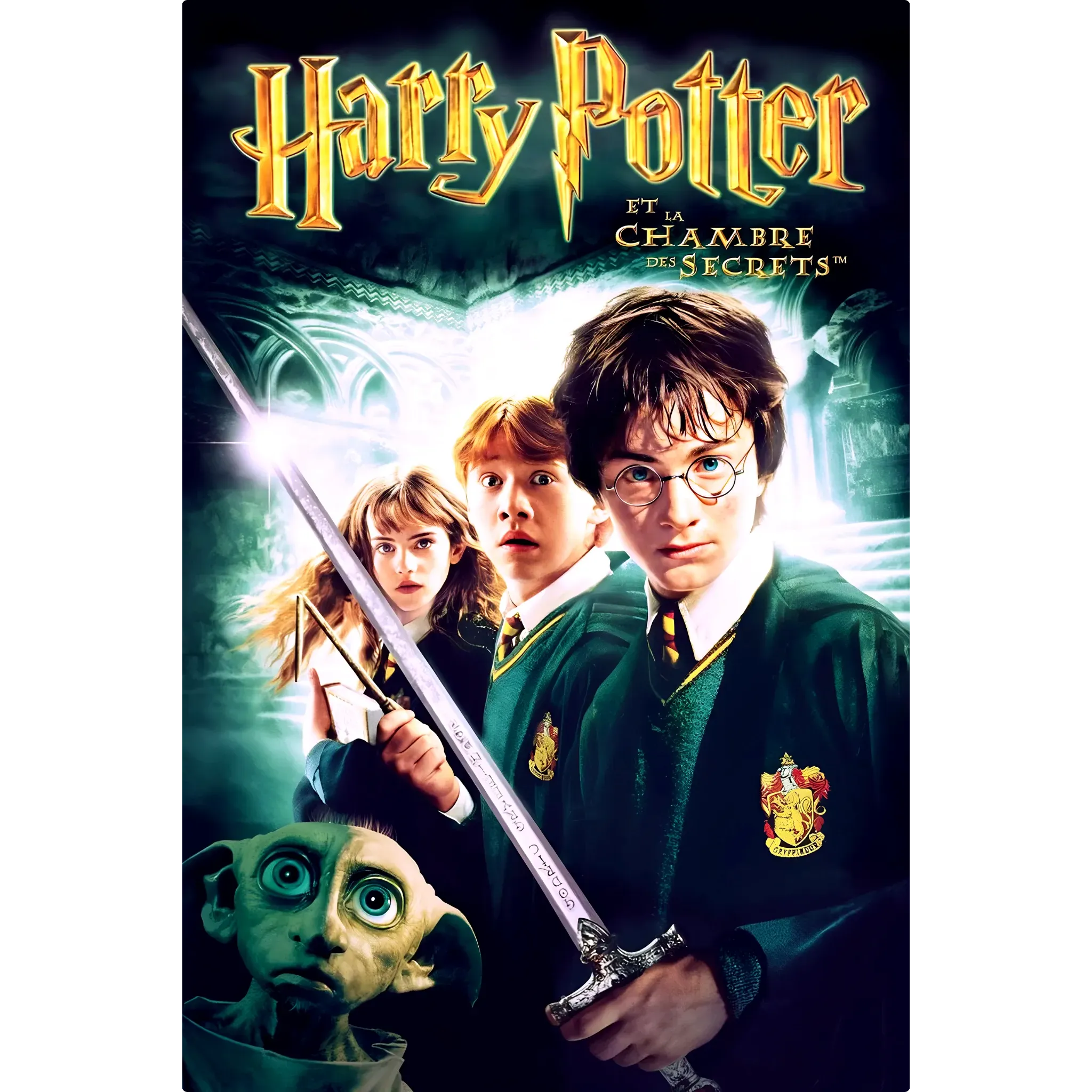 tableau-harry-potter-et-la-chambre-des-secrets | DreamWay