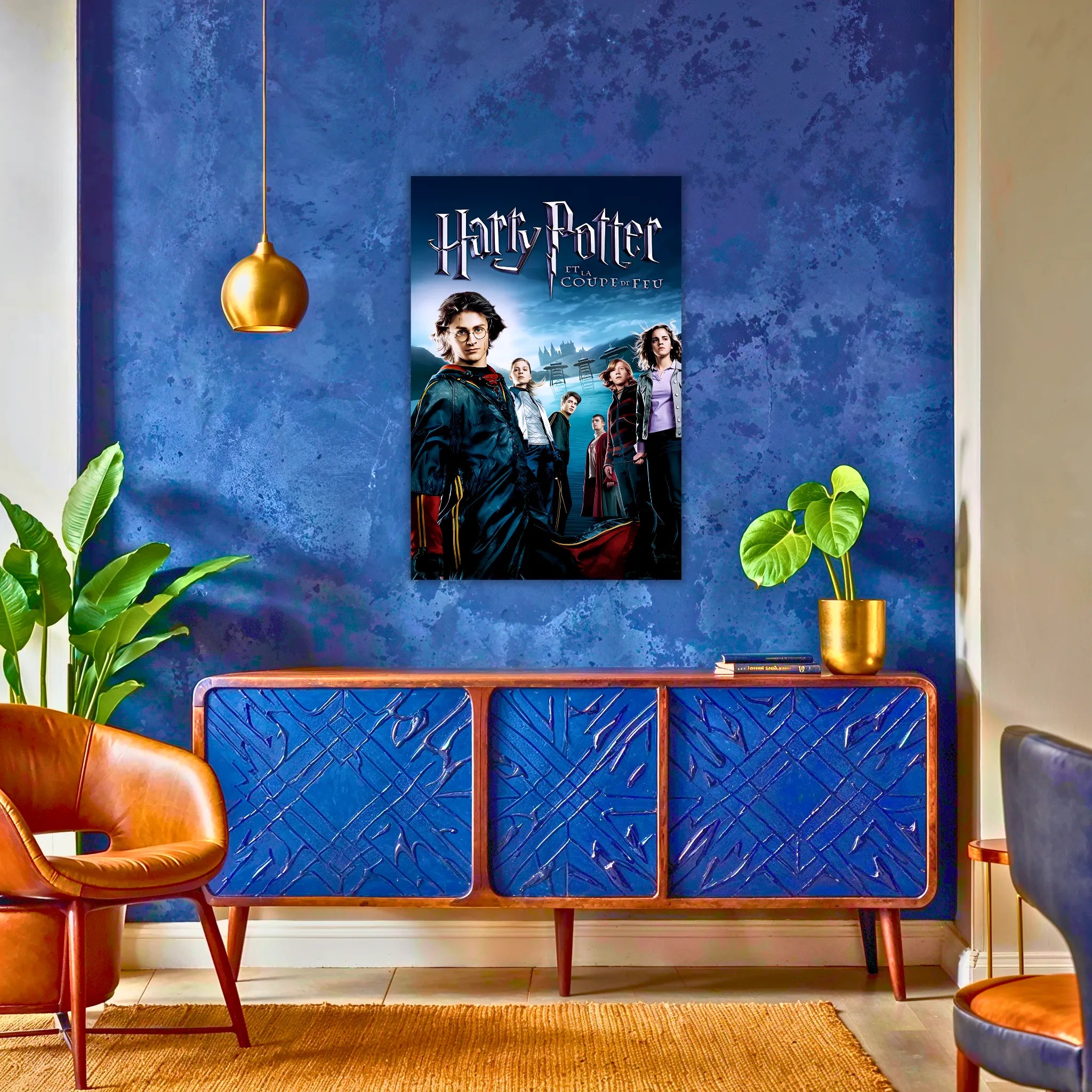 Tableau Harry Et La Coupe De Feu