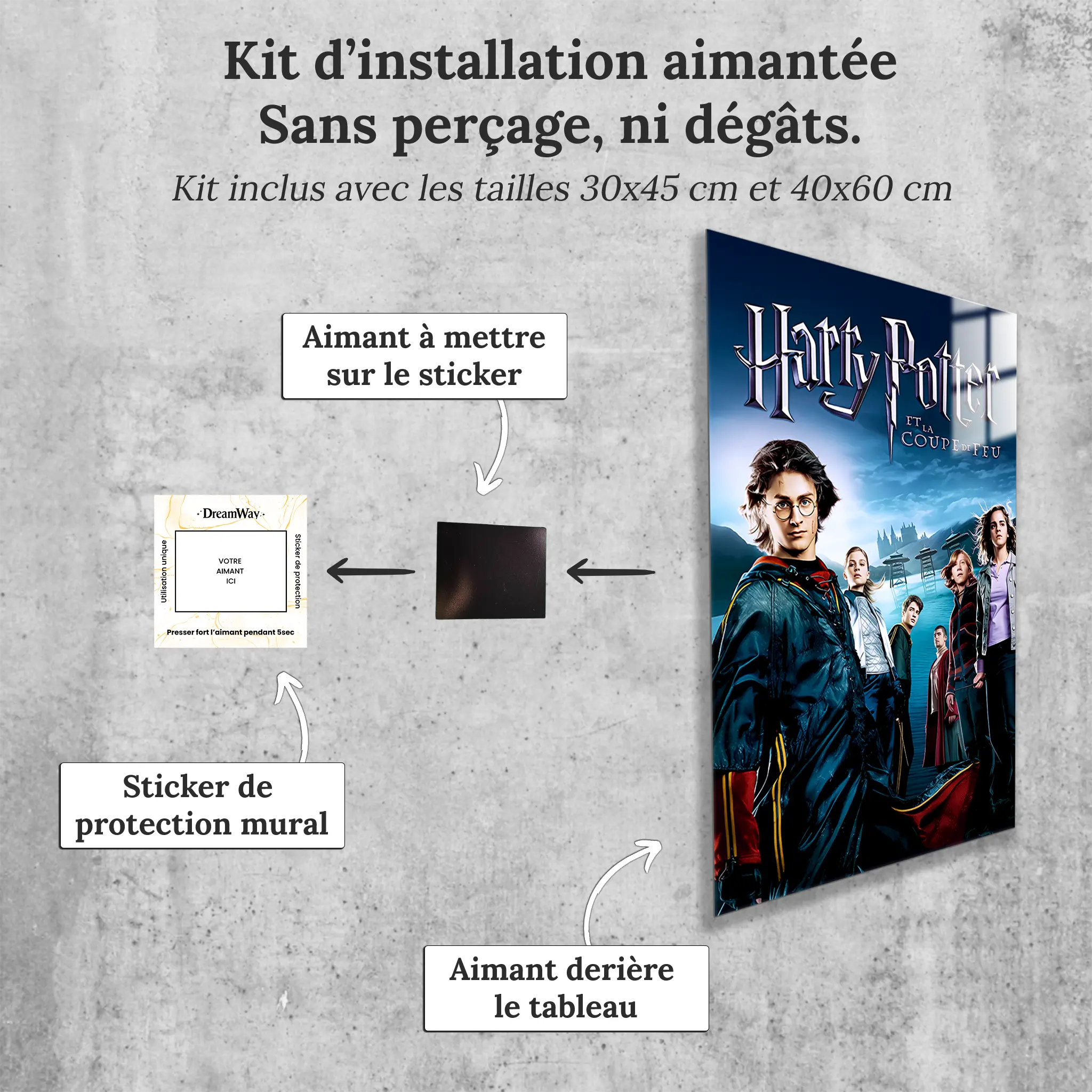 tableau-harry-potter-et-la-coupe-de-feu-avec-installation-aimantee | DreamWay