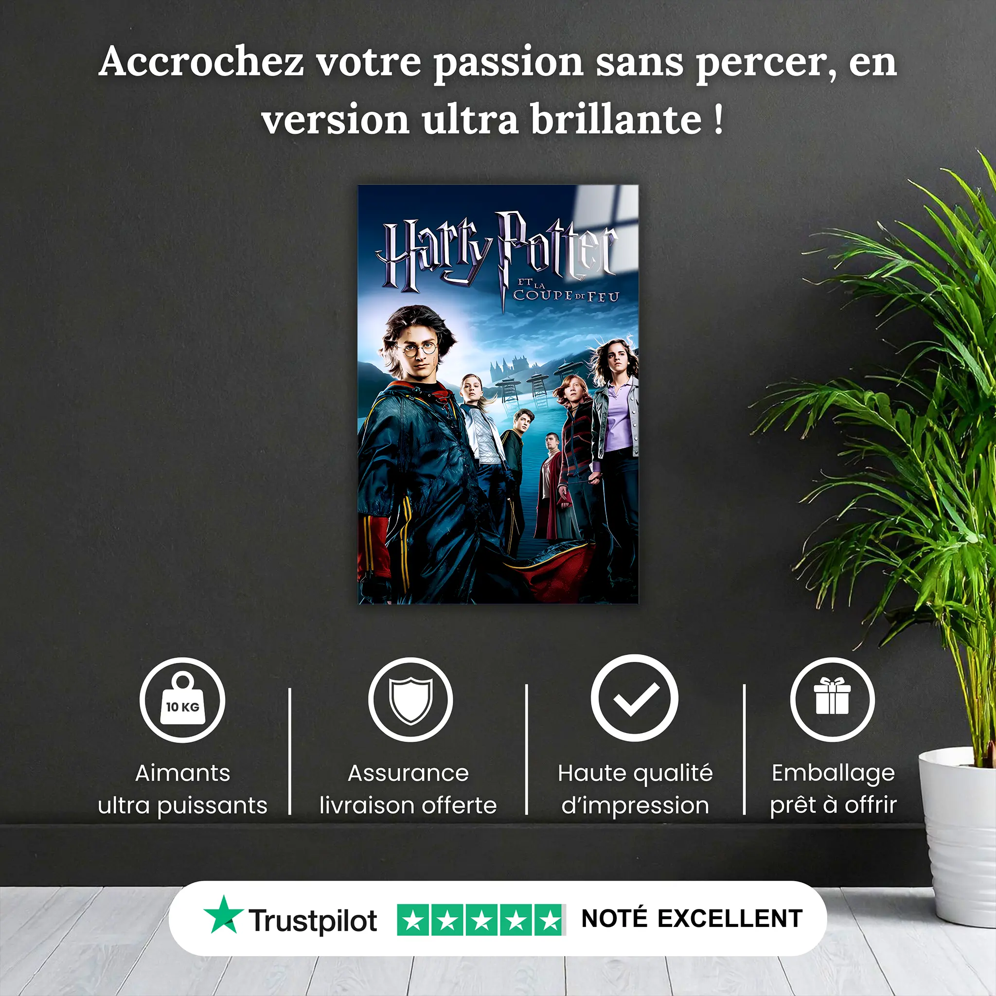 tableau-harry-potter-et-la-coupe-de-feu-pourquoi-acheter | DreamWay