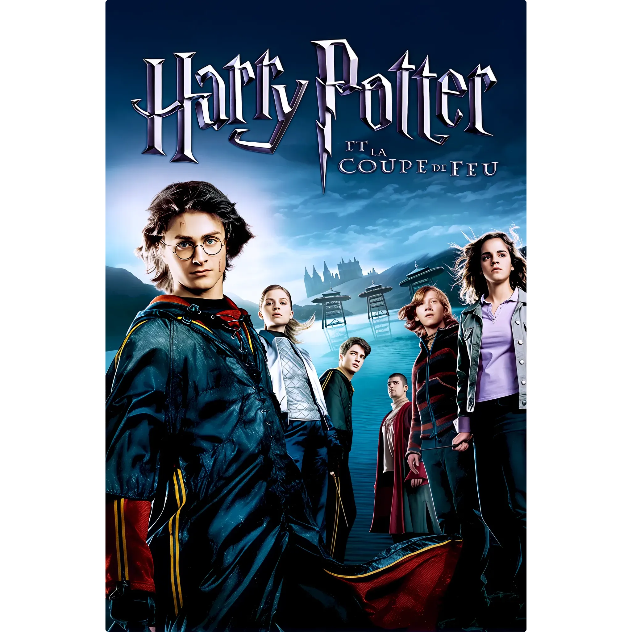 tableau-harry-potter-et-la-coupe-de-feu | DreamWay