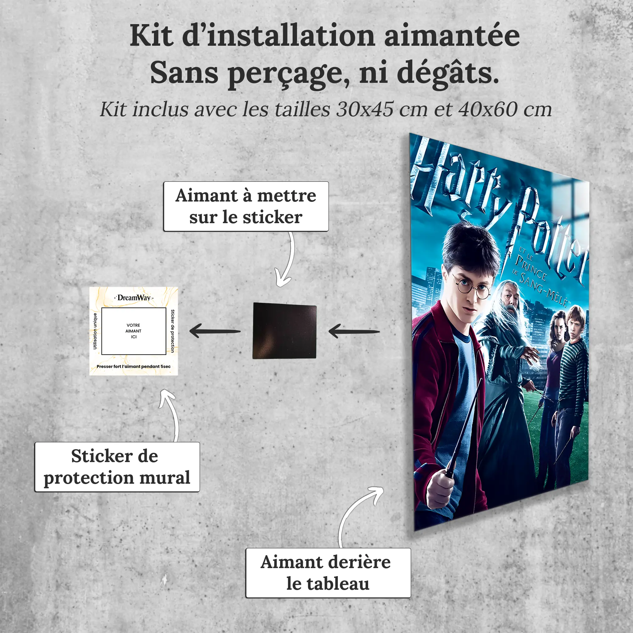 tableau-harry-potter-et-le-prince-de-sang-mele-avec-installation-aimantee | DreamWay