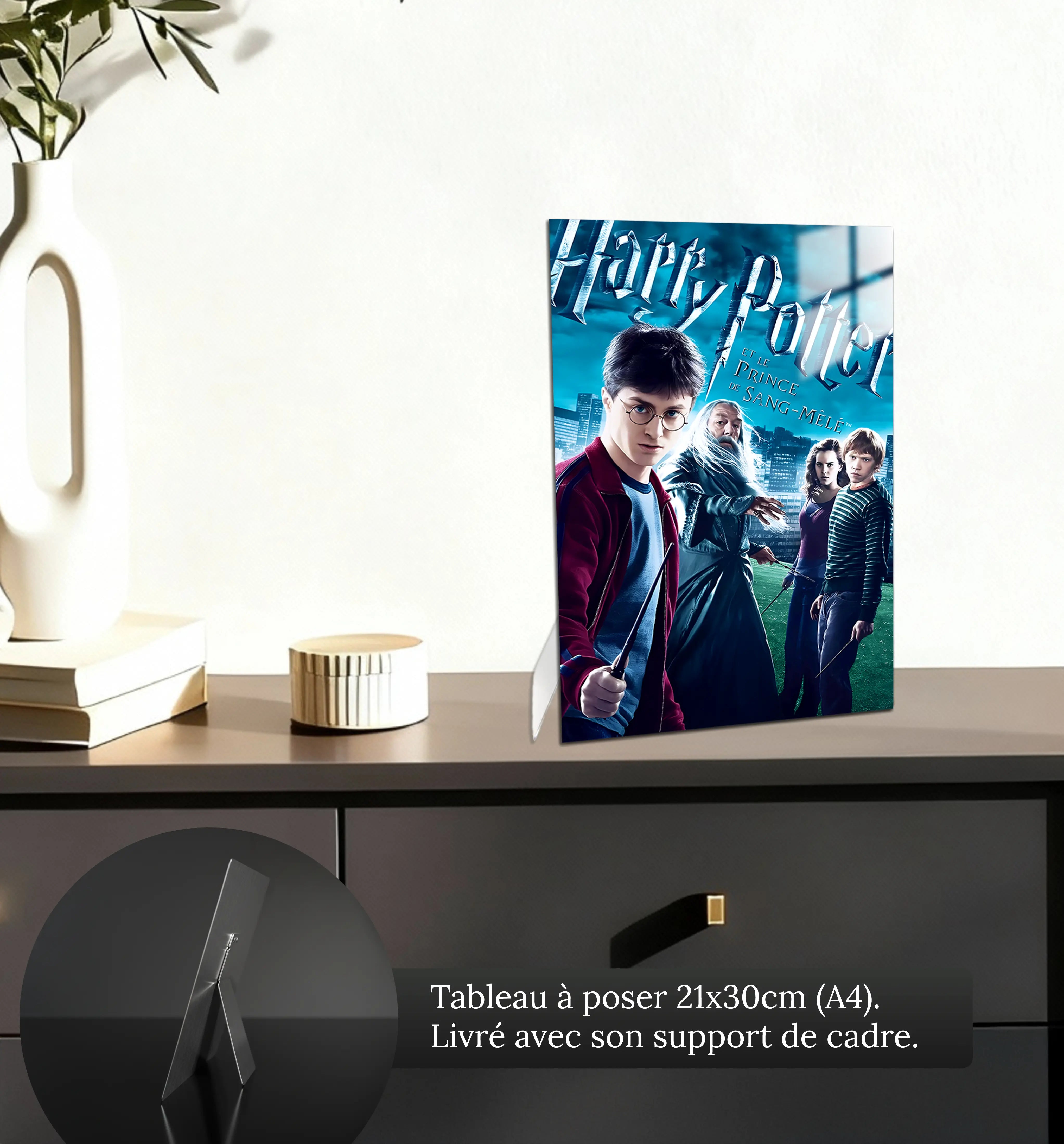 tableau-harry-potter-et-le-prince-de-sang-mele-petit-format-a-poser-sur-meuble | DreamWay