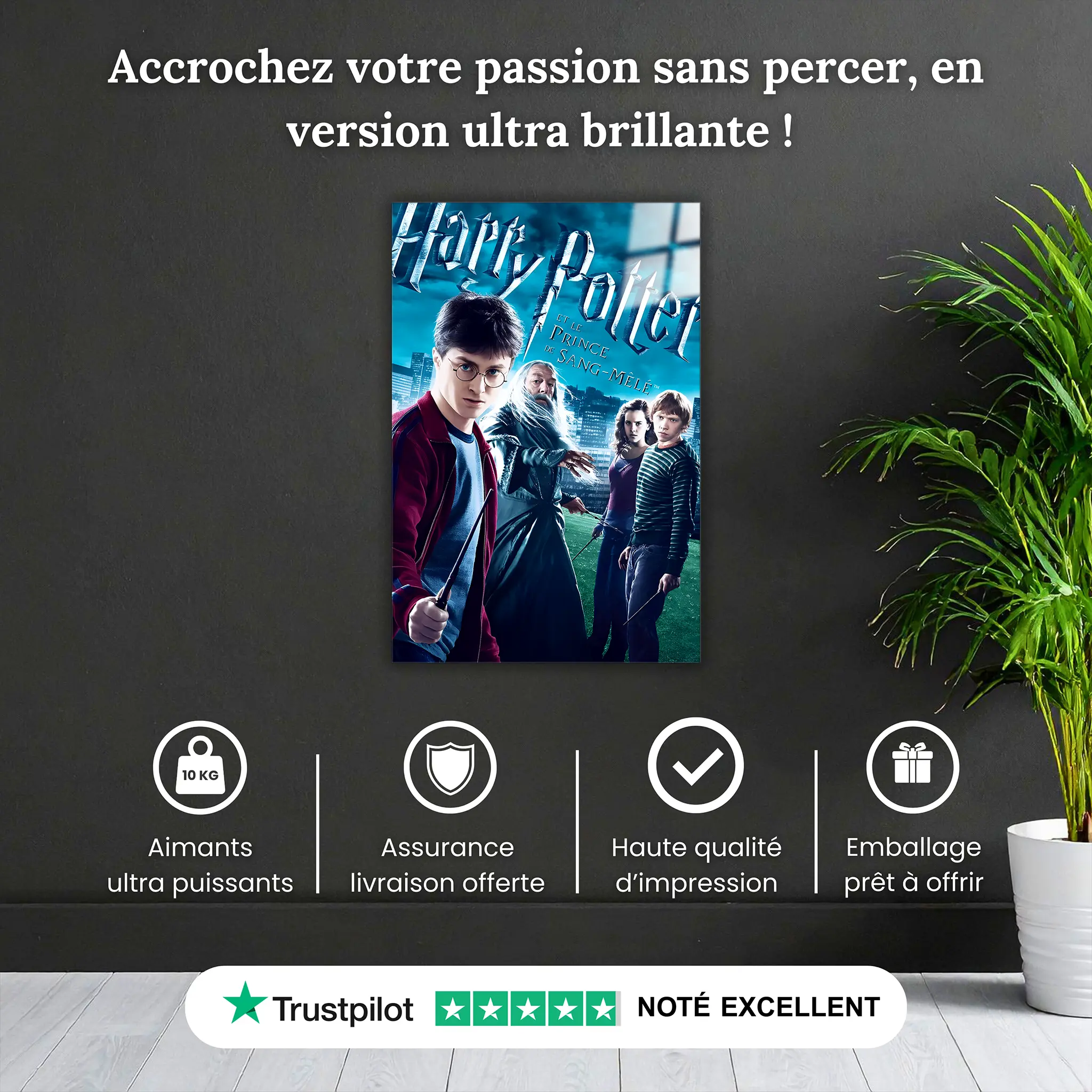tableau-harry-potter-et-le-prince-de-sang-mele-pourquoi-acheter | DreamWay