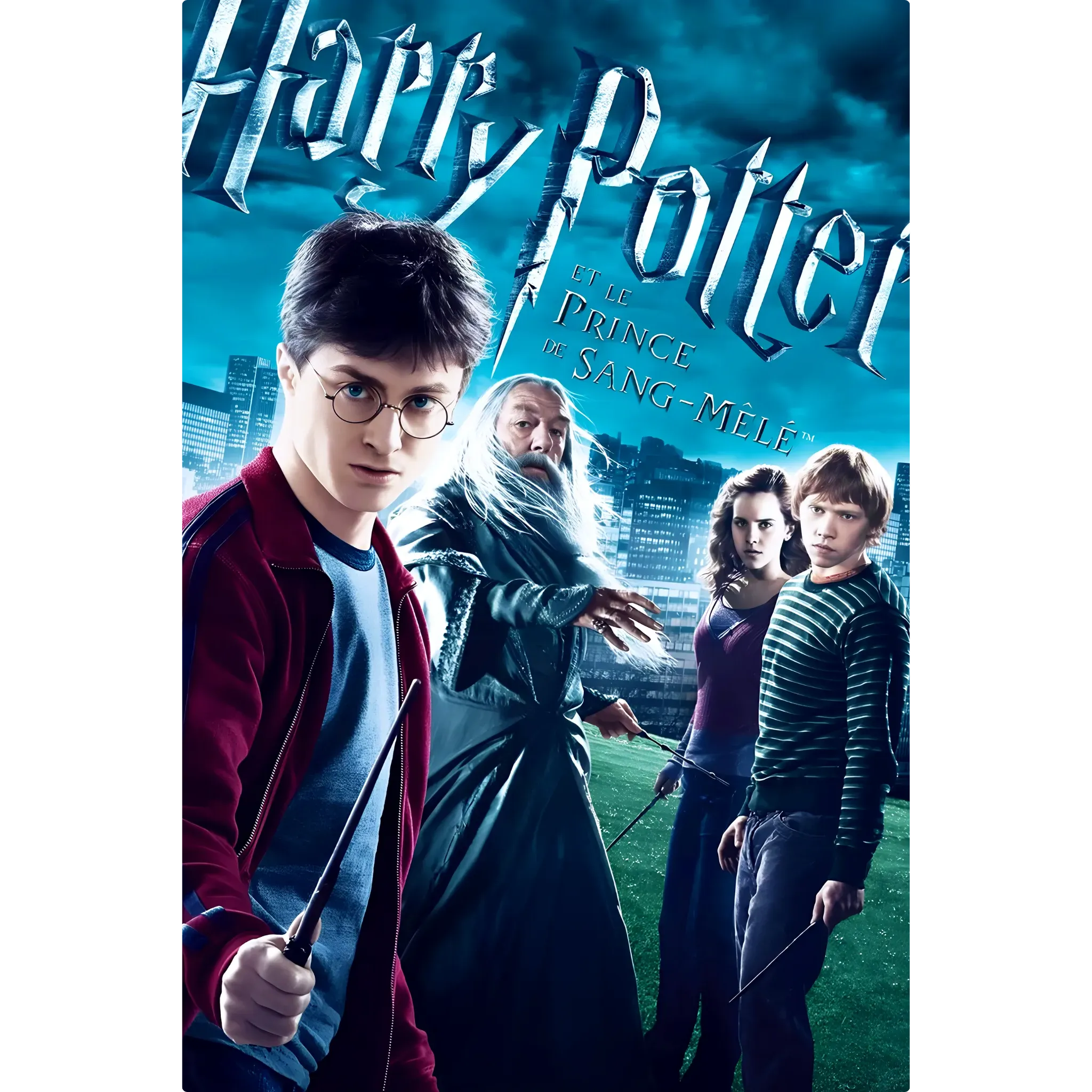 tableau-harry-potter-et-le-prince-de-sang-mele | DreamWay