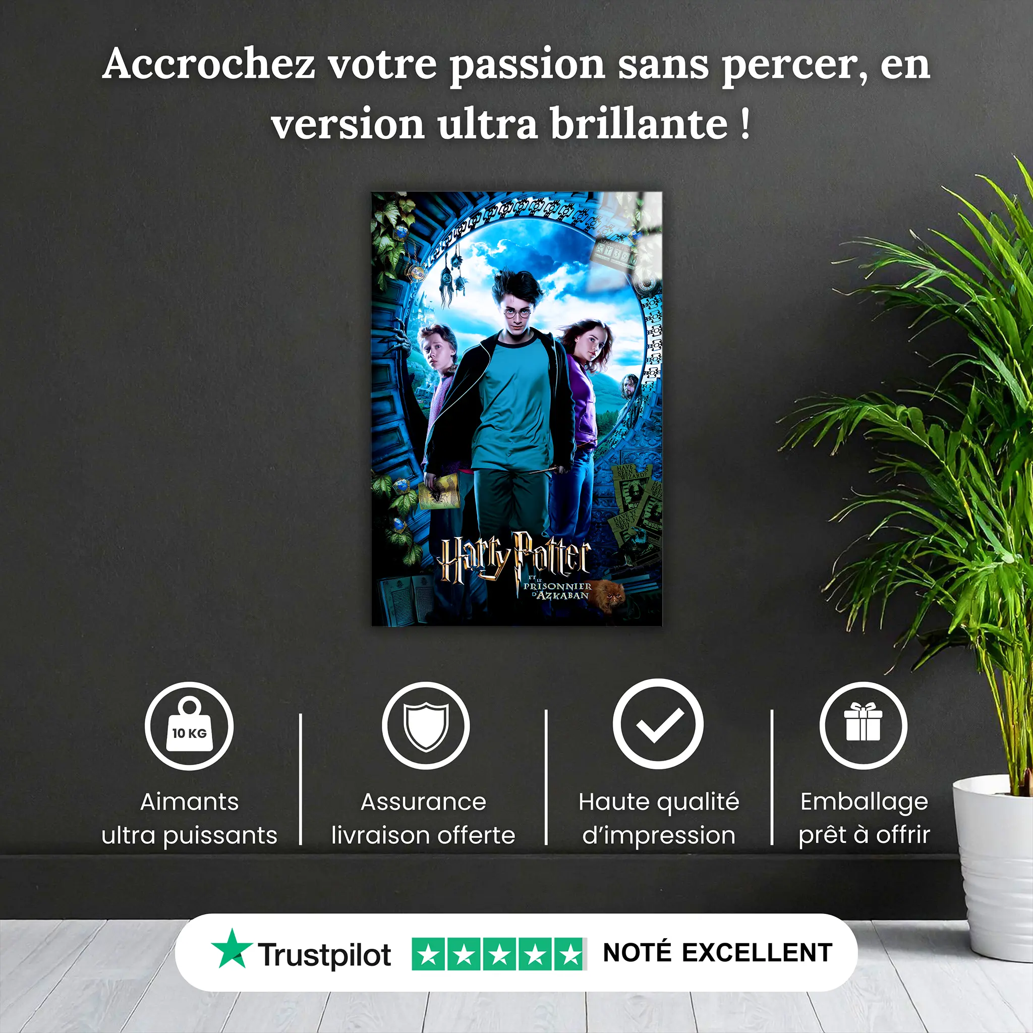tableau-harry-potter-et-le-prisonnier-azkaban-pourquoi-acheter | DreamWay