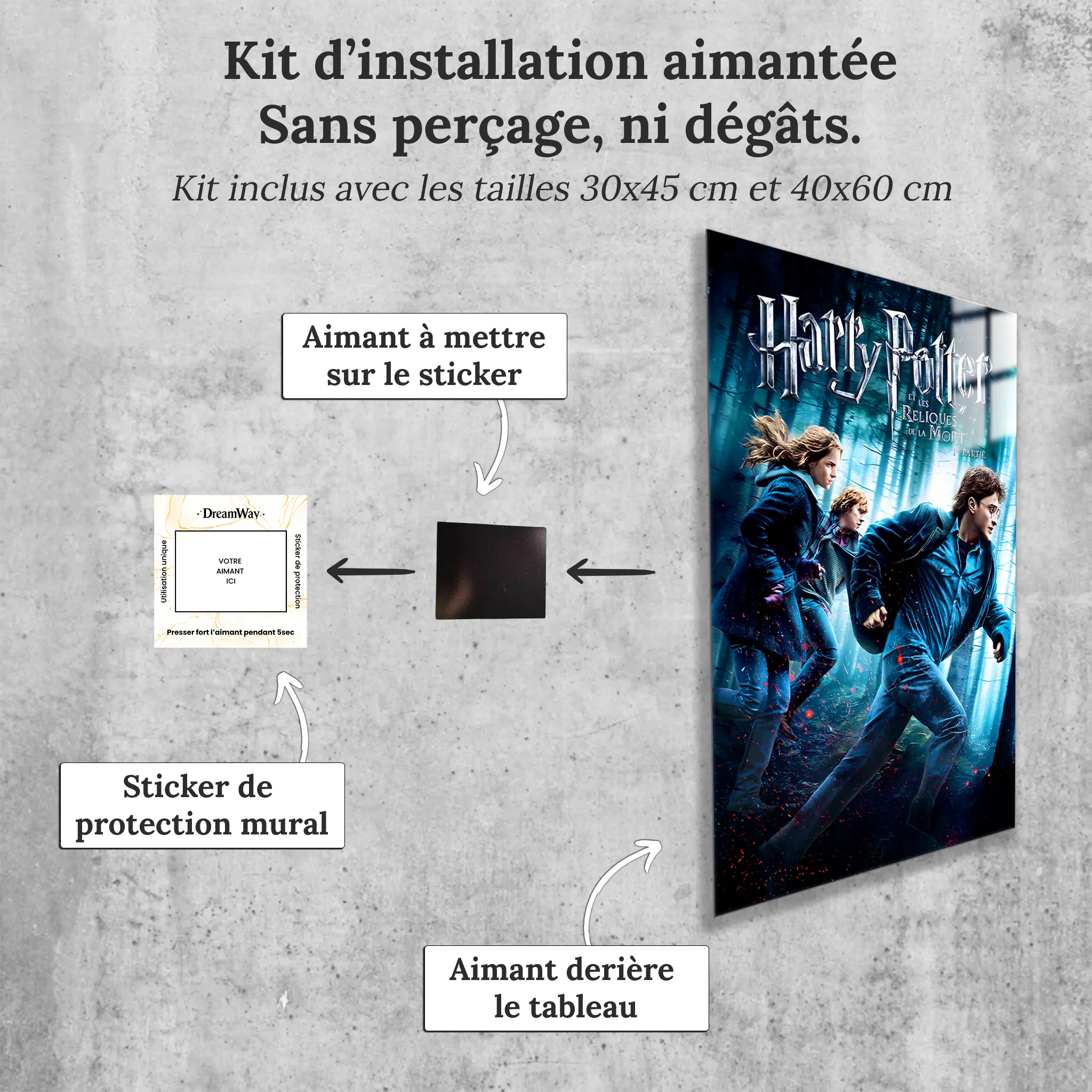 tableau-harry-potter-et-les-reliques-de-la-mort-partie-1-avec-installation-aimantee | DreamWay