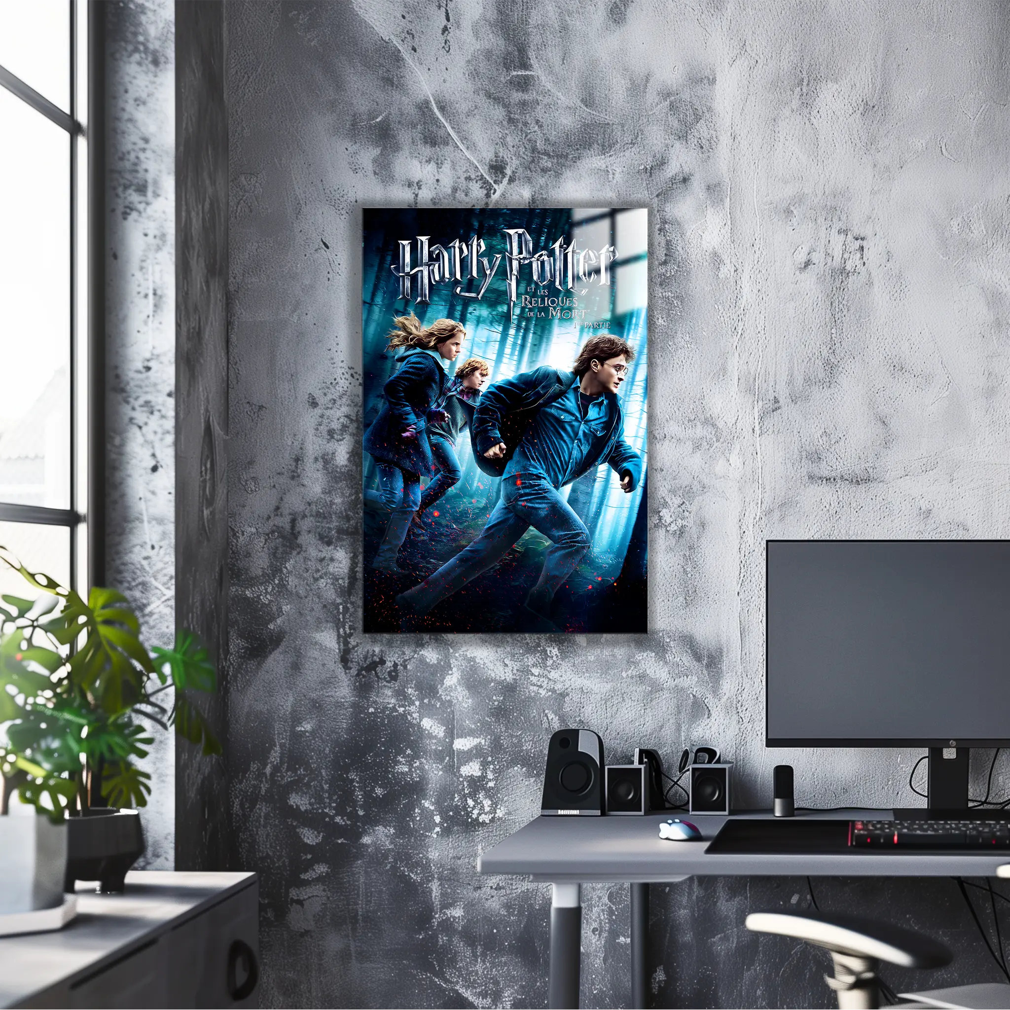 tableau-harry-potter-et-les-reliques-de-la-mort-partie-1 | DreamWay