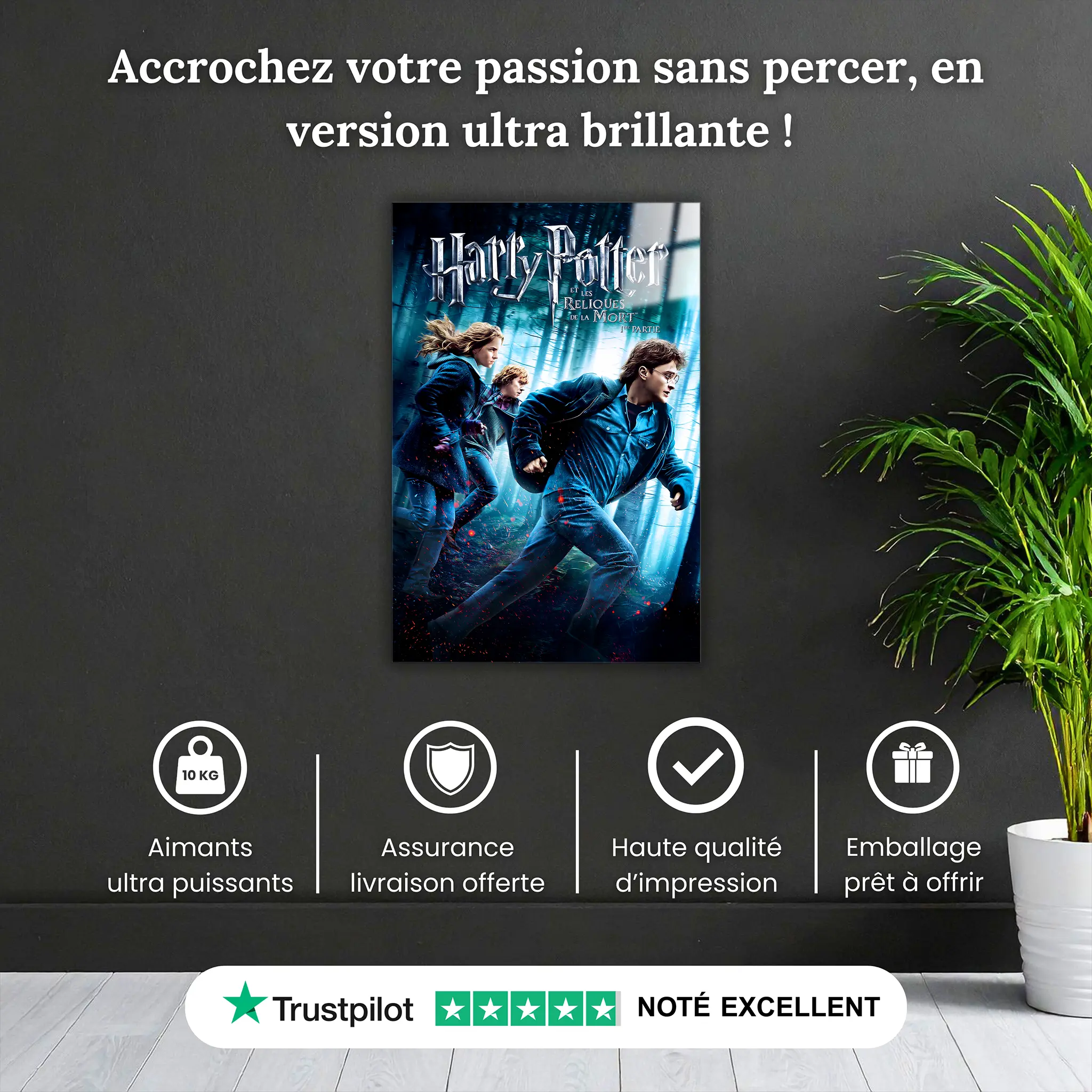 tableau-harry-potter-et-les-reliques-de-la-mort-partie-1-pourquoi-acheter | DreamWay