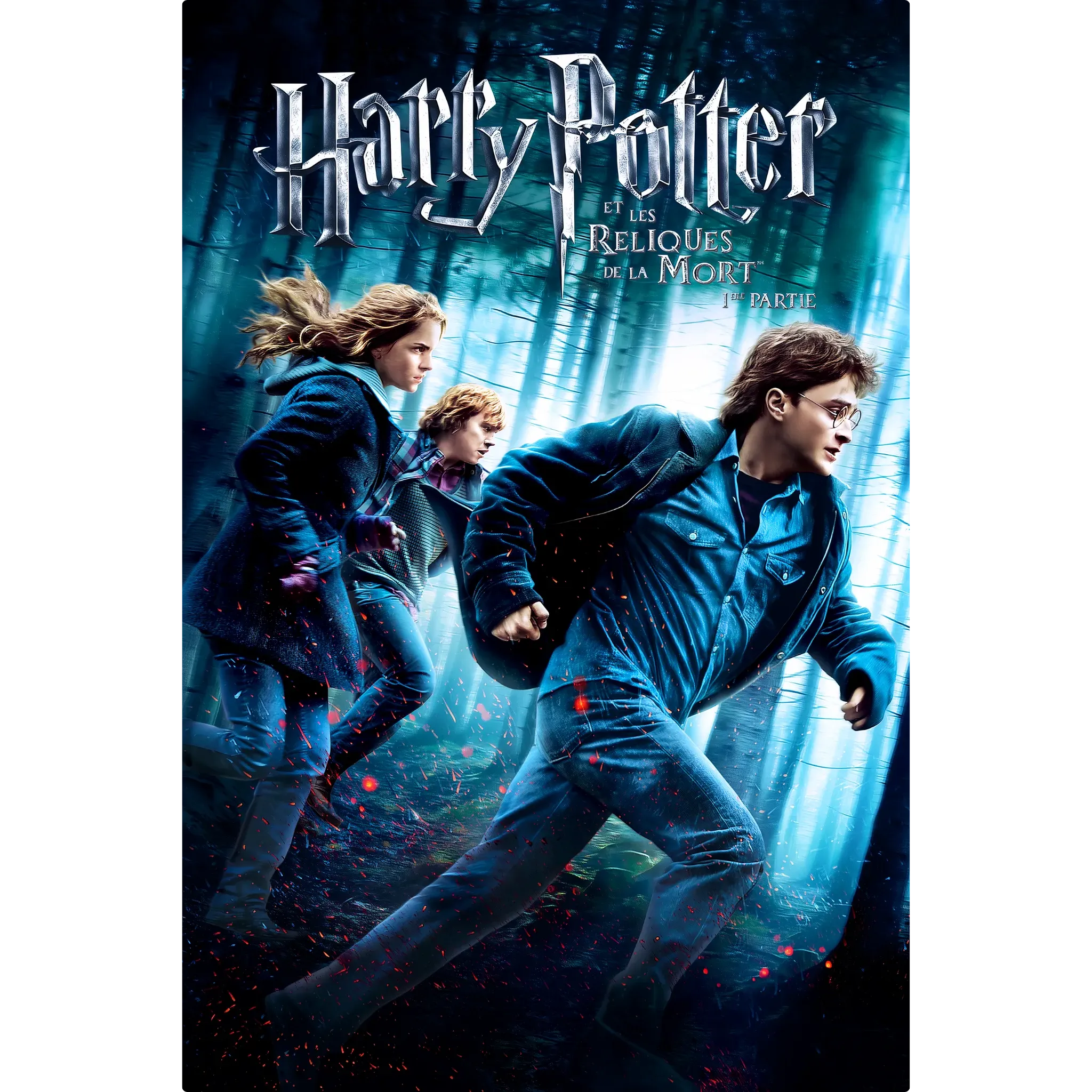 tableau-harry-potter-et-les-reliques-de-la-mort-partie-1 | DreamWay