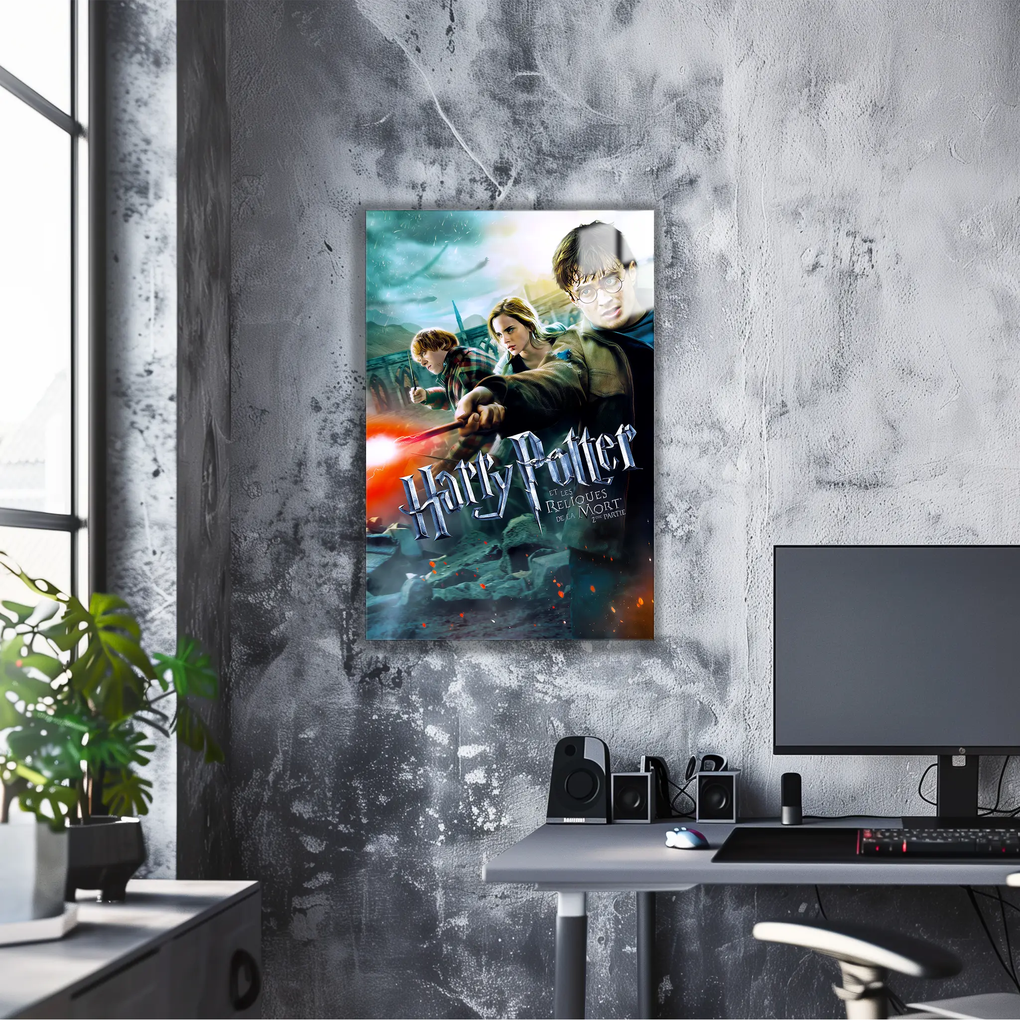 tableau-harry-potter-et-les-reliques-de-la-mort-partie-2 | DreamWay
