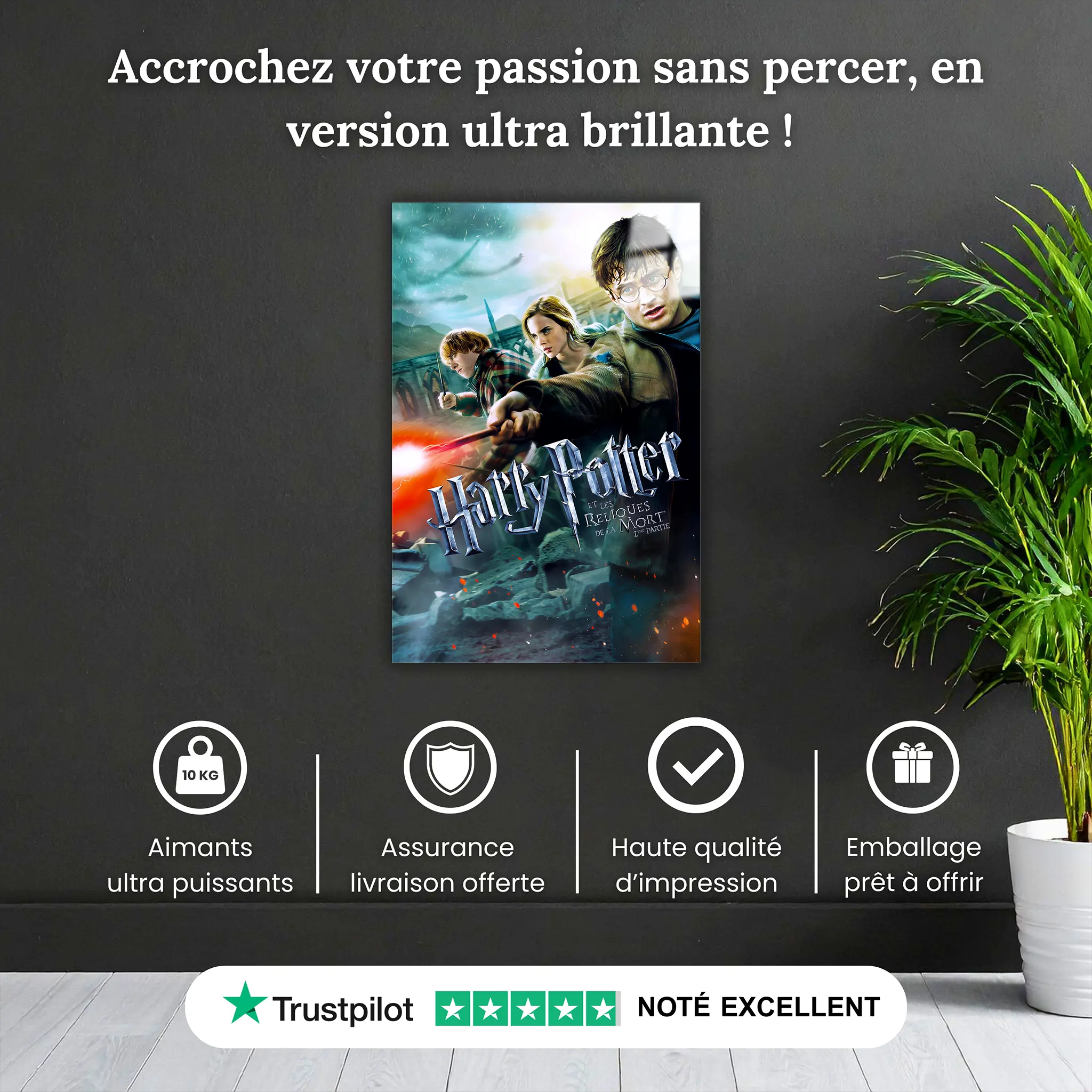 tableau-harry-potter-et-les-reliques-de-la-mort-partie-2-pourquoi-acheter | DreamWay