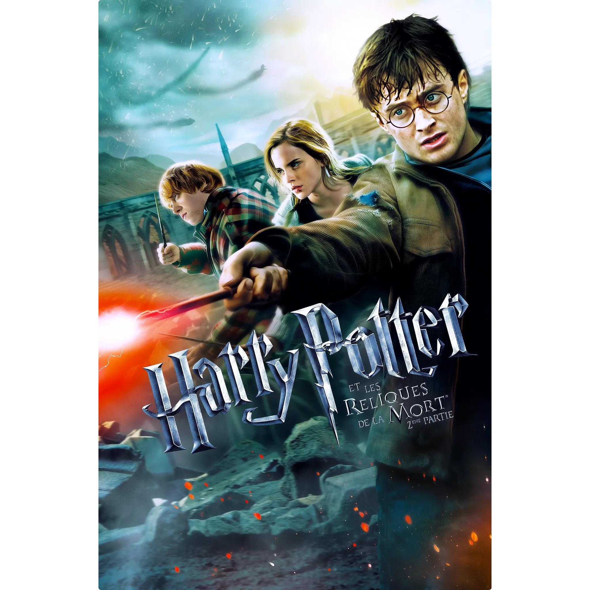 tableau-harry-potter-et-les-reliques-de-la-mort-partie-2 | DreamWay