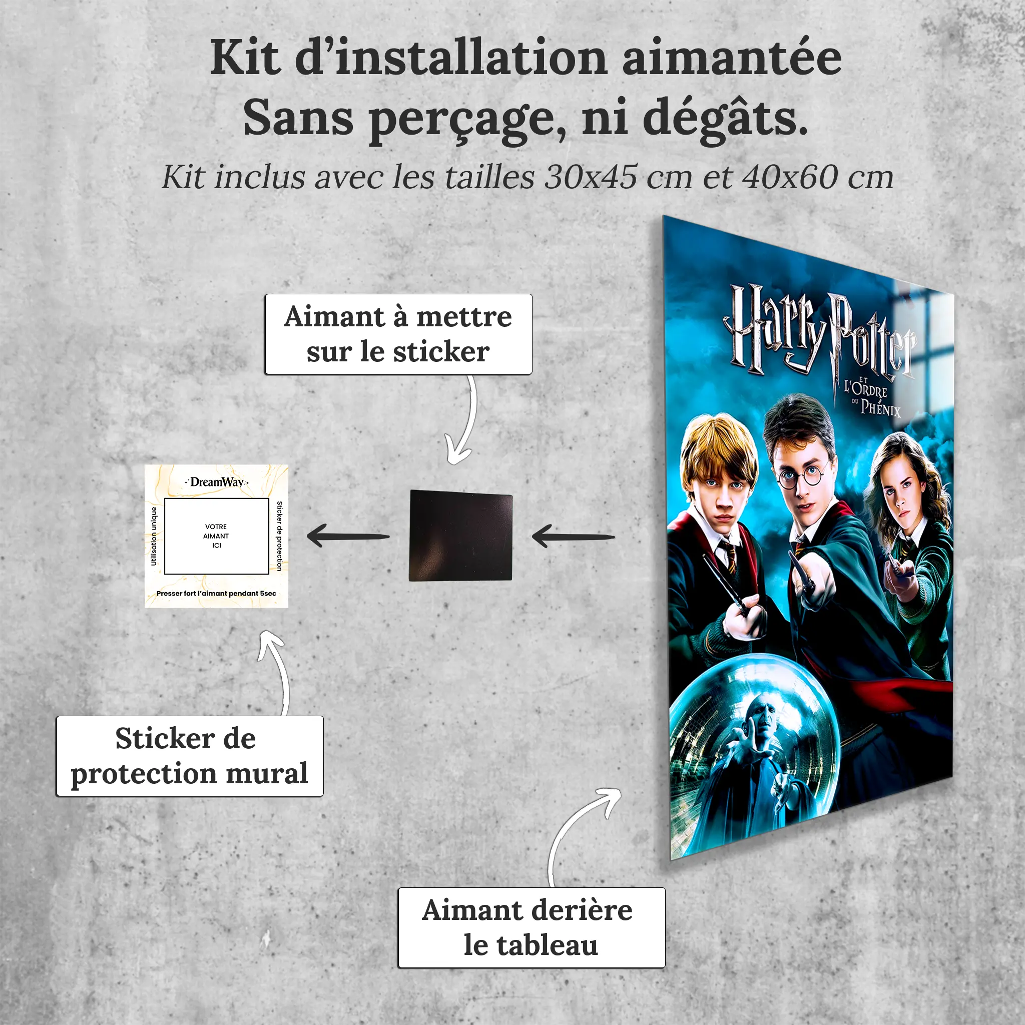 tableau-harry-potter-et-ordre-du-phenix-avec-installation-aimantee | DreamWay