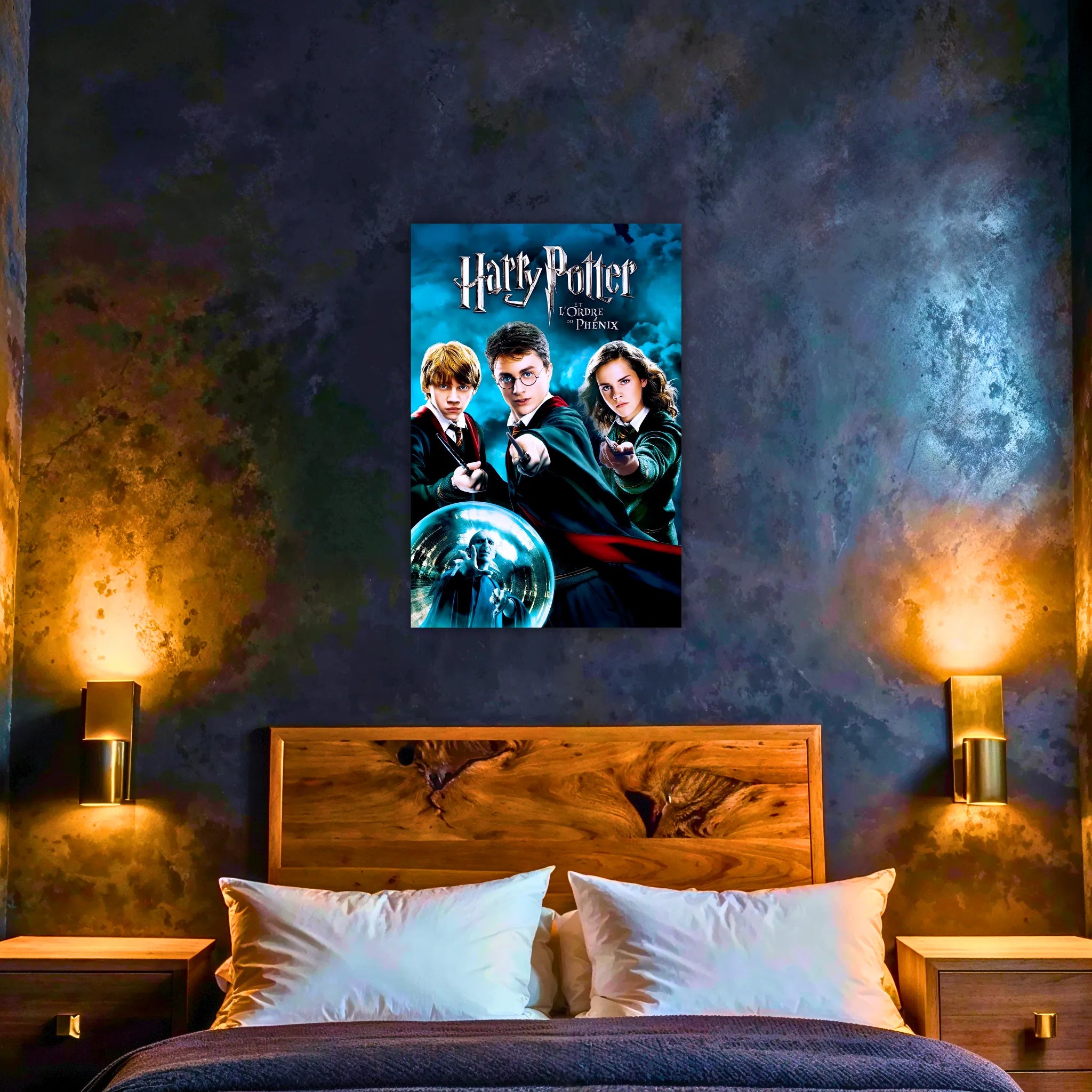 tableau-harry-potter-et-ordre-du-phenix | DreamWay