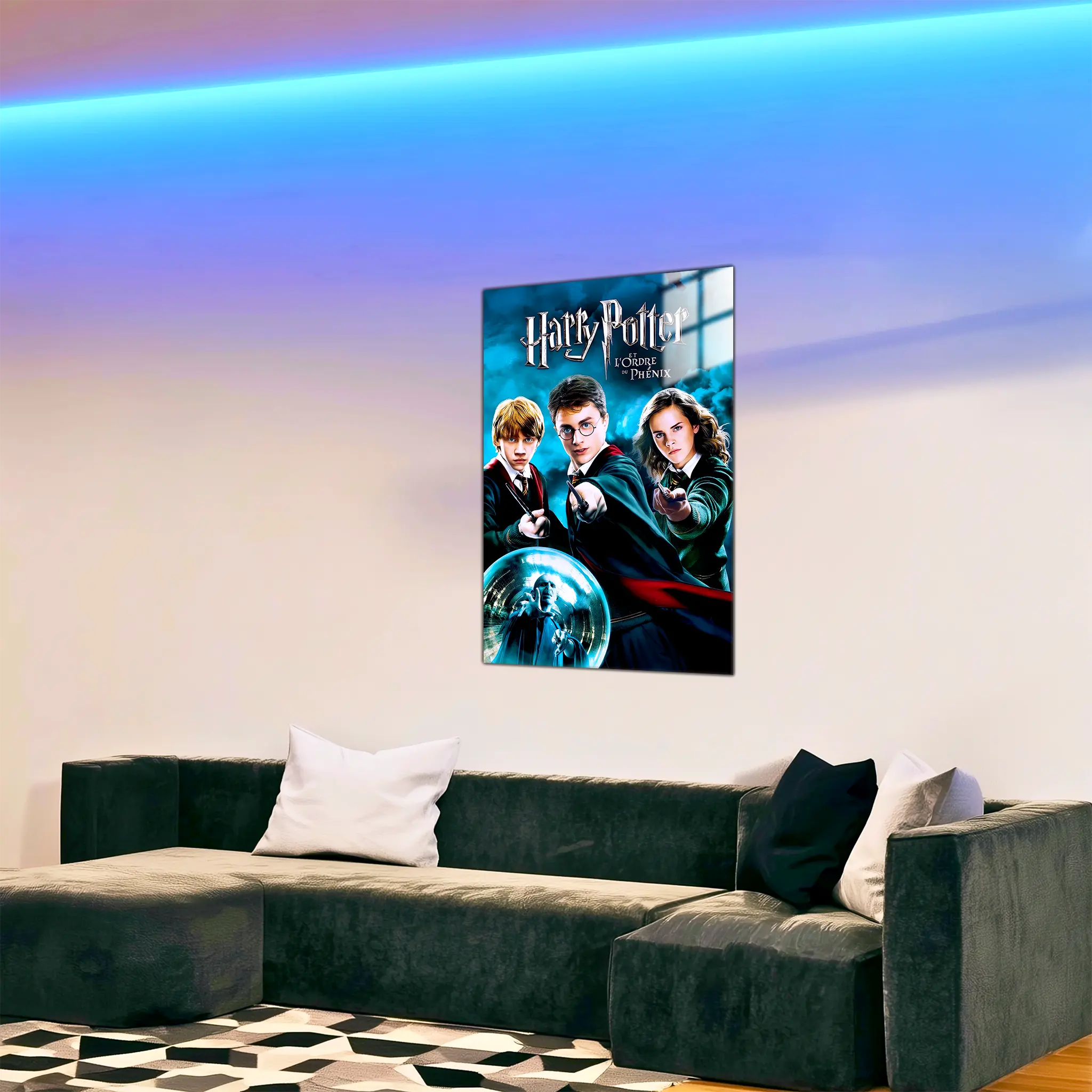 tableau-harry-potter-et-ordre-du-phenix-dans-le-salon | DreamWay