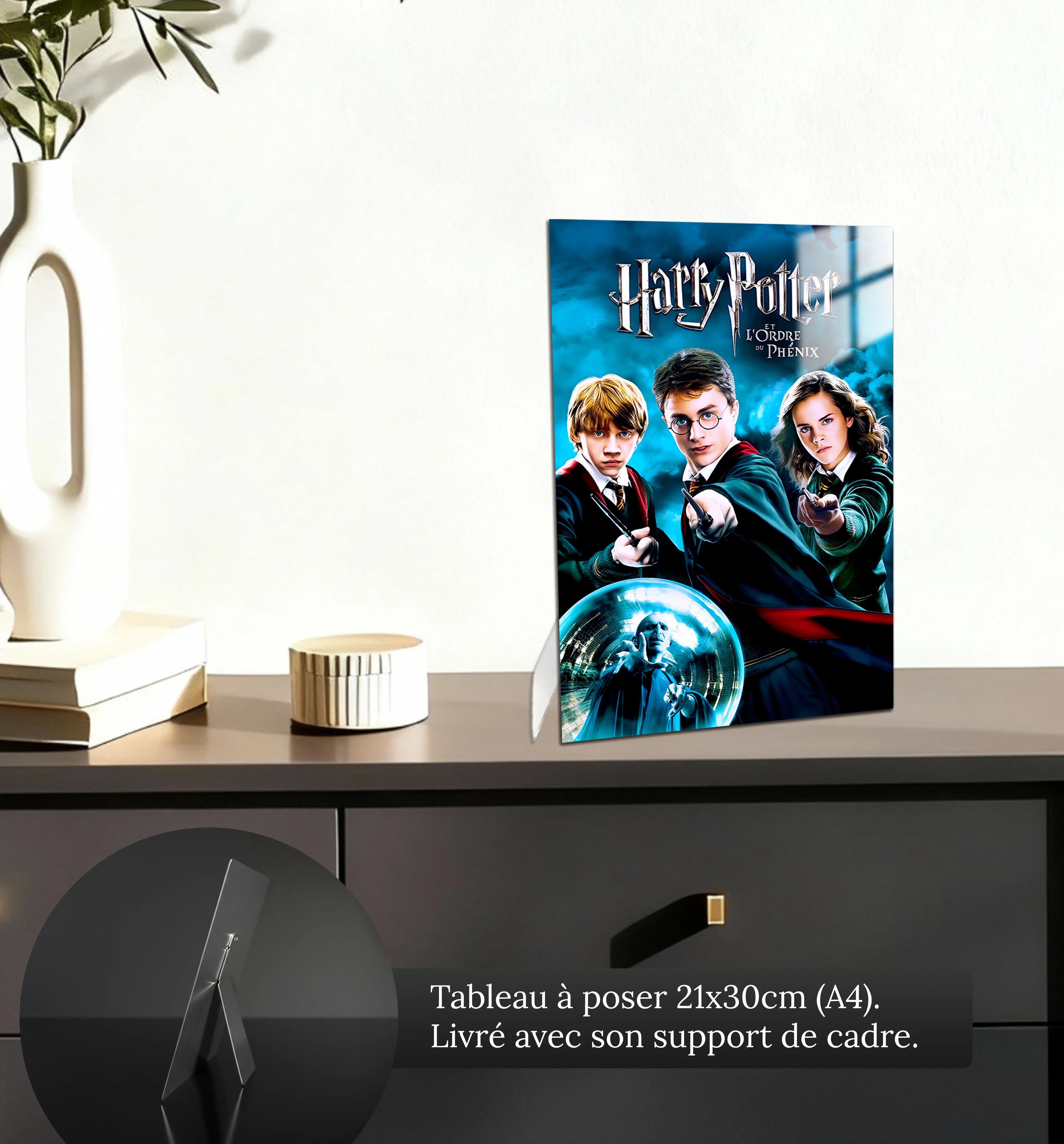 tableau-harry-potter-et-ordre-du-phenix-petit-format-a-poser-sur-meuble | DreamWay