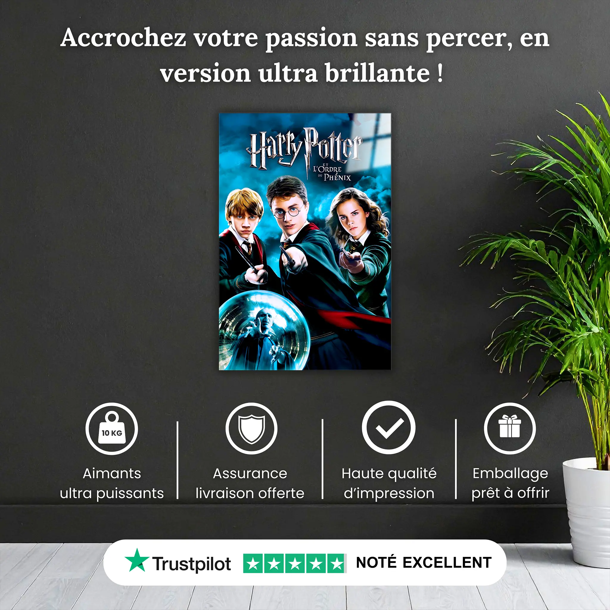 tableau-harry-potter-et-ordre-du-phenix-pourquoi-acheter | DreamWay