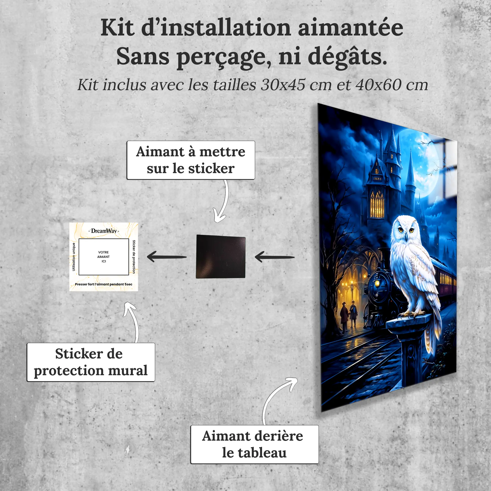tableau-harry-potter-hedwige-avec-installation-aimantee | DreamWay