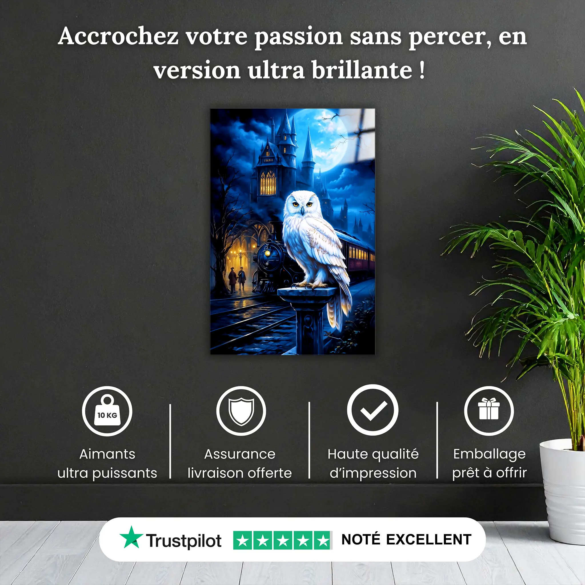 tableau-harry-potter-hedwige-pourquoi-acheter | DreamWay