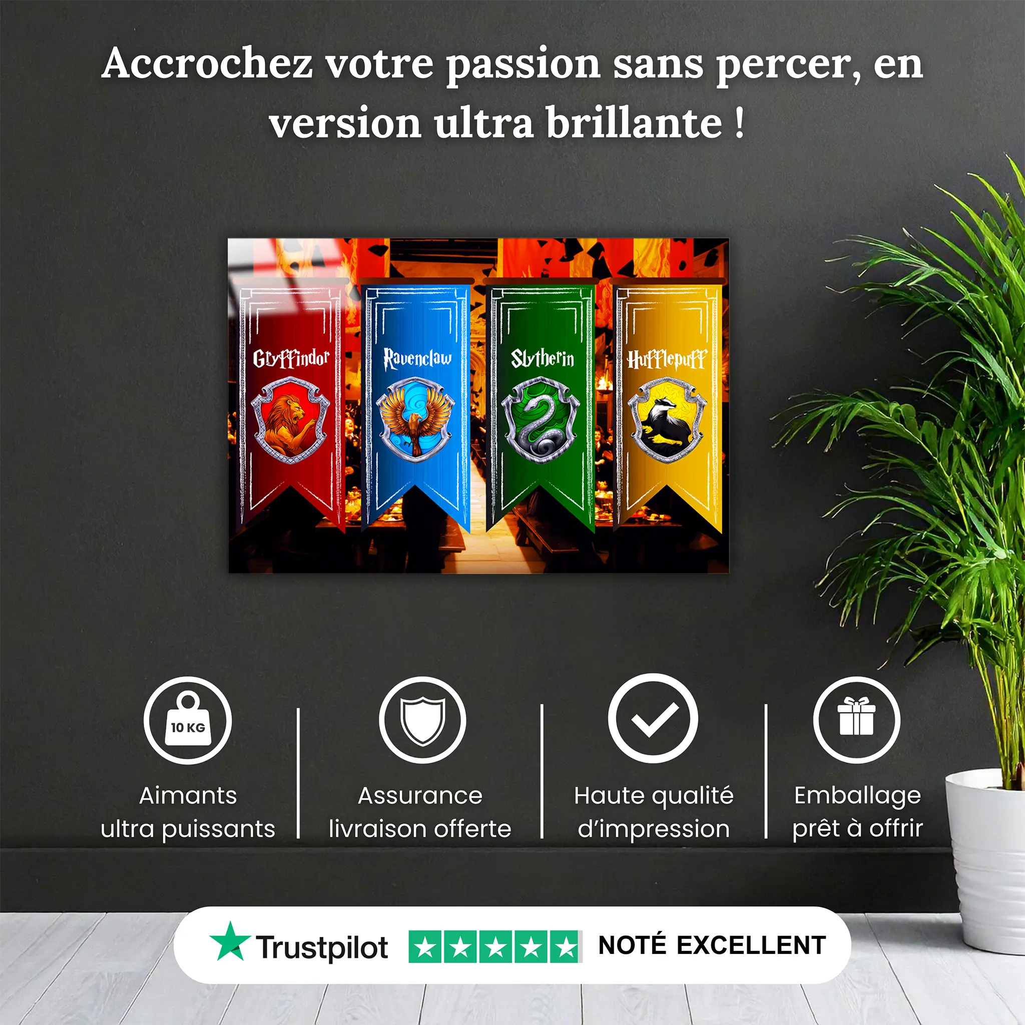 tableau-harry-potter-les-blasons-pourquoi-acheter | DreamWay