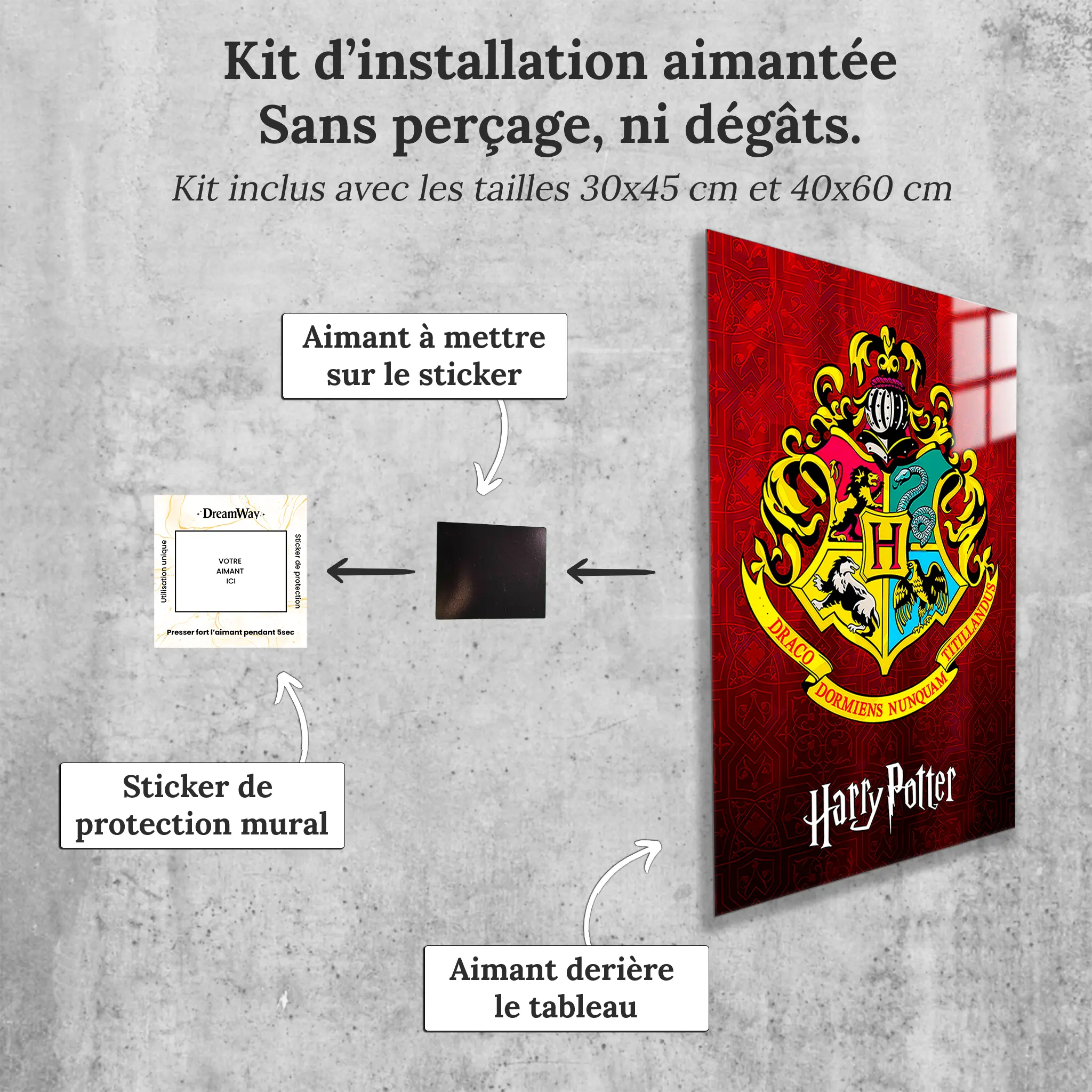 tableau-harry-potter-les-maisons-avec-installation-aimantee | DreamWay