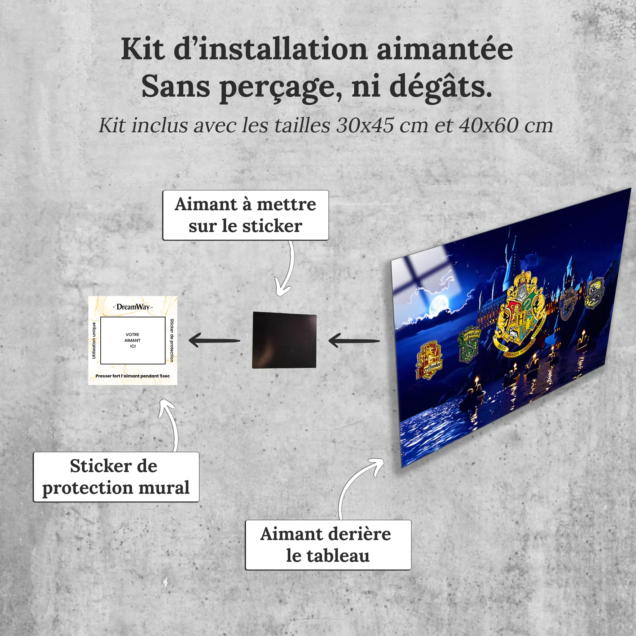 tableau-harry-potter-les-maisons-de-poudlard-avec-installation-aimantee | DreamWay
