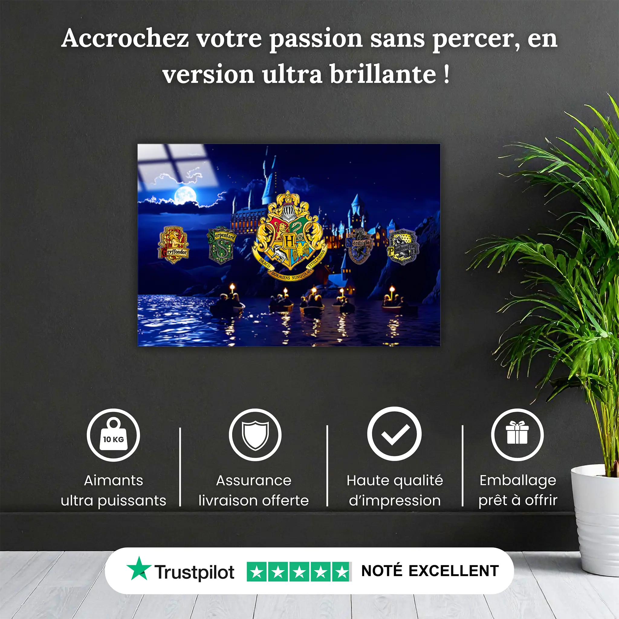 tableau-harry-potter-les-maisons-de-poudlard-pourquoi-acheter | DreamWay
