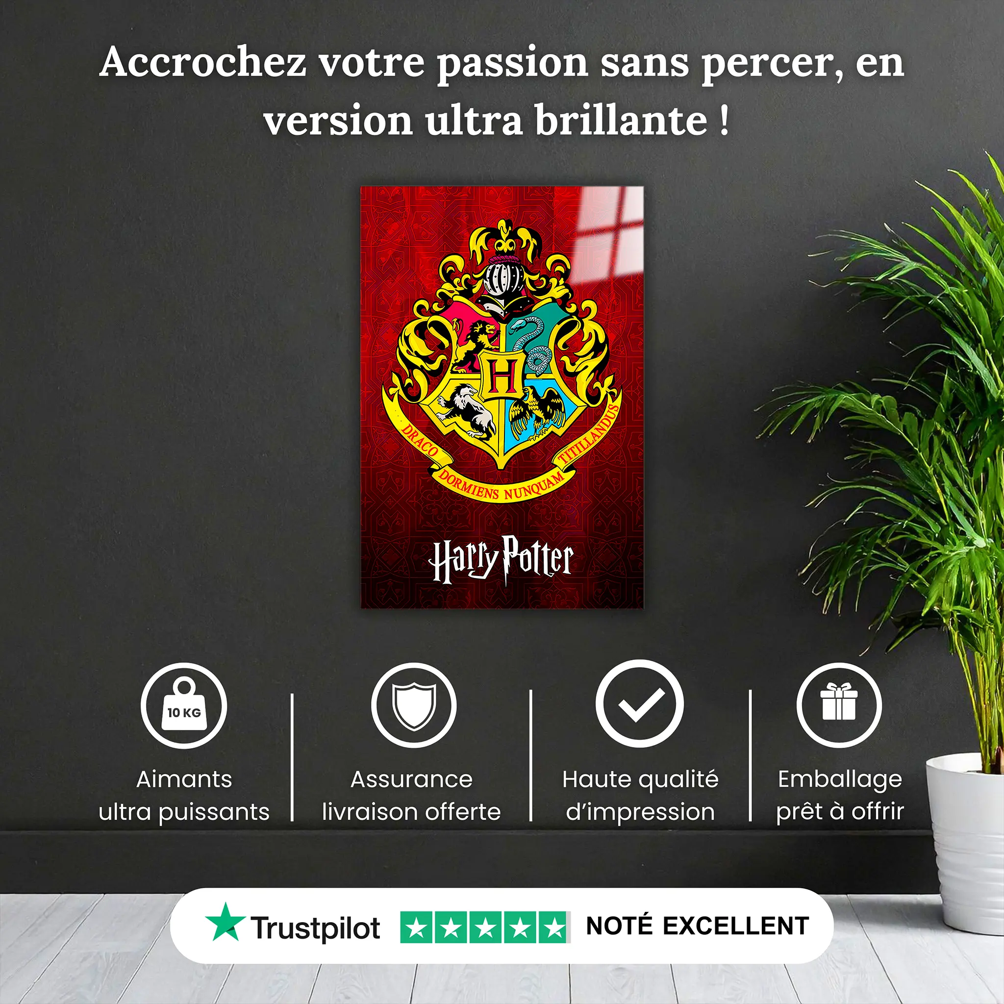 tableau-harry-potter-les-maisons-pourquoi-acheter | DreamWay