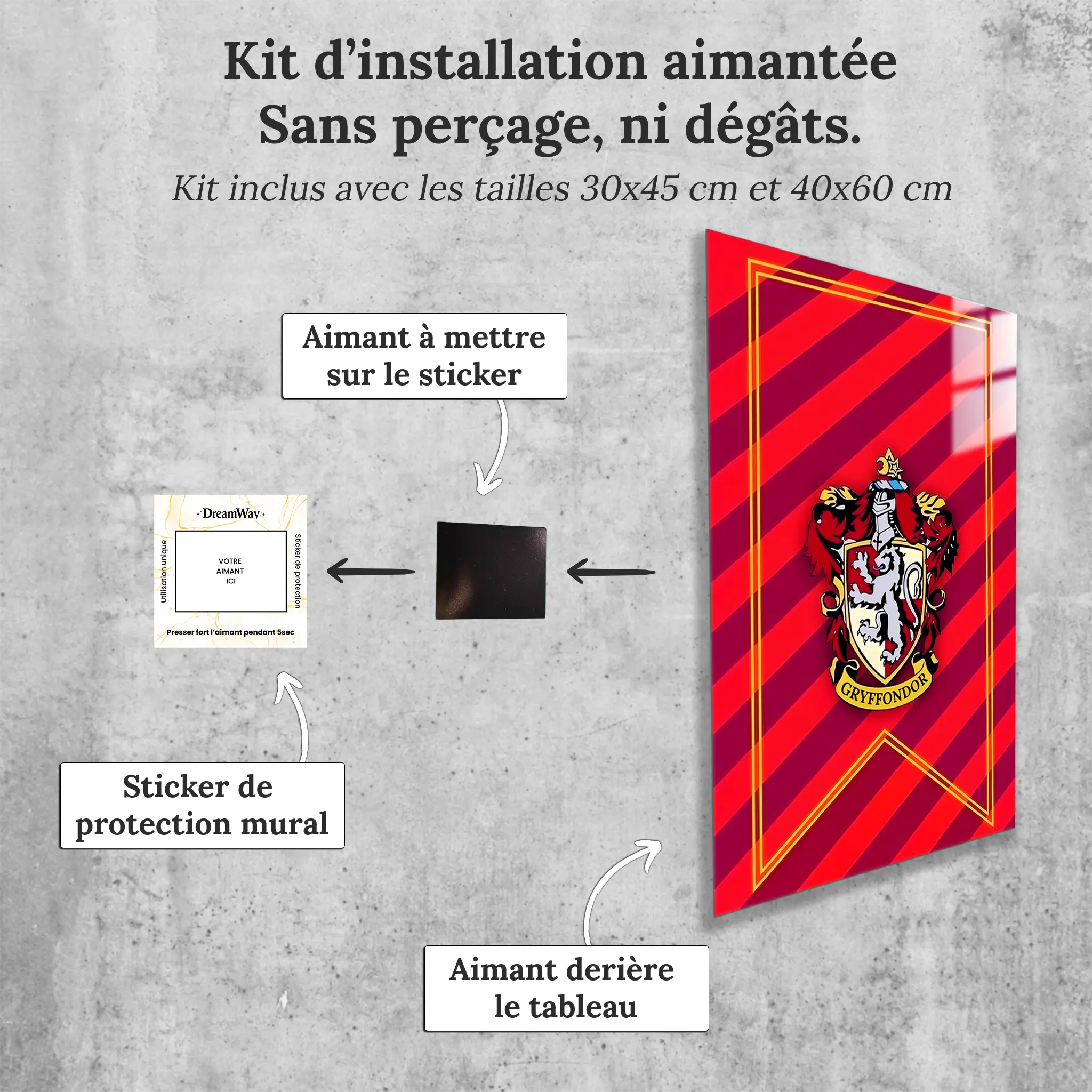 tableau-harry-potter-maison-gryffondor-avec-installation-aimantee | DreamWay