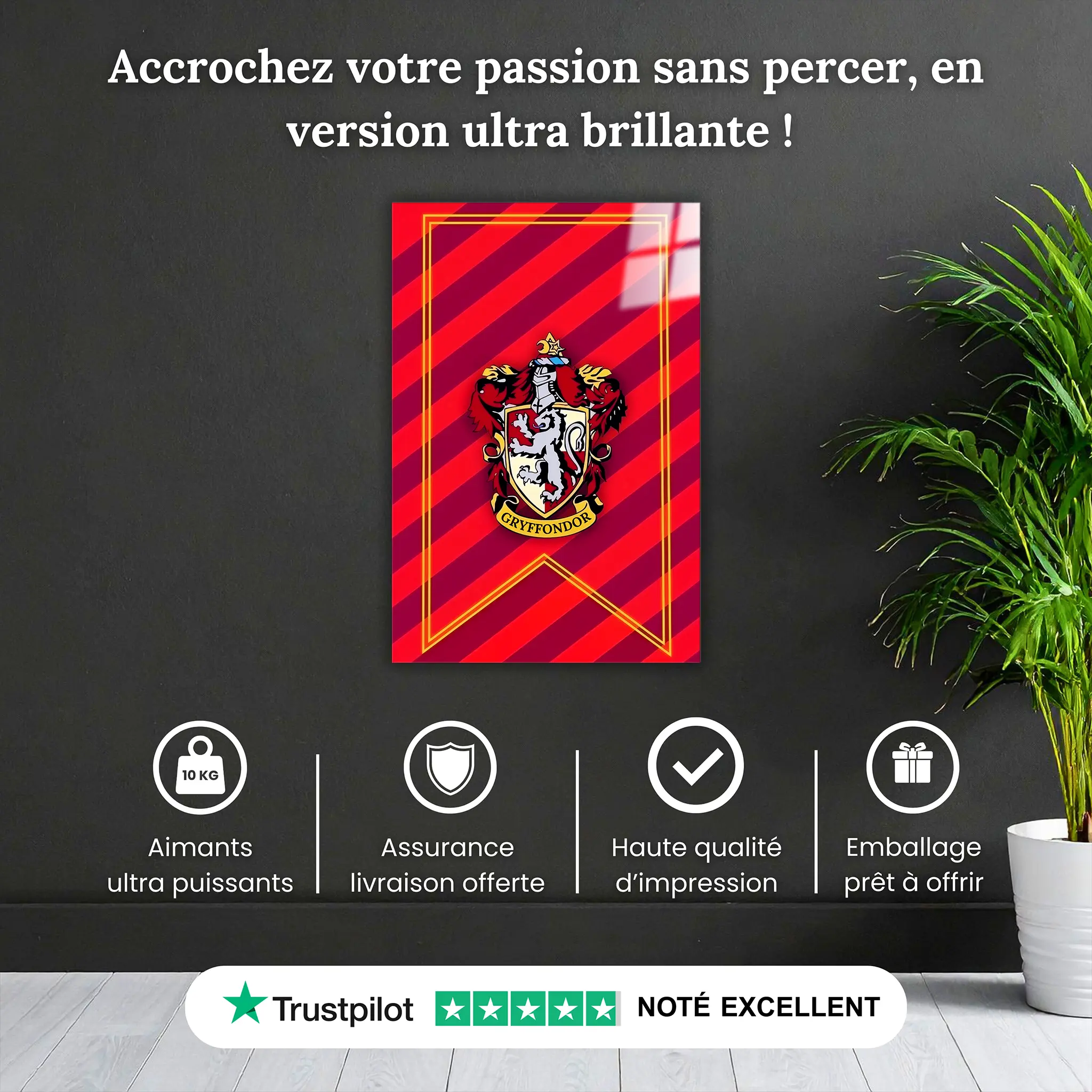 tableau-harry-potter-maison-gryffondor-pourquoi-acheter | DreamWay