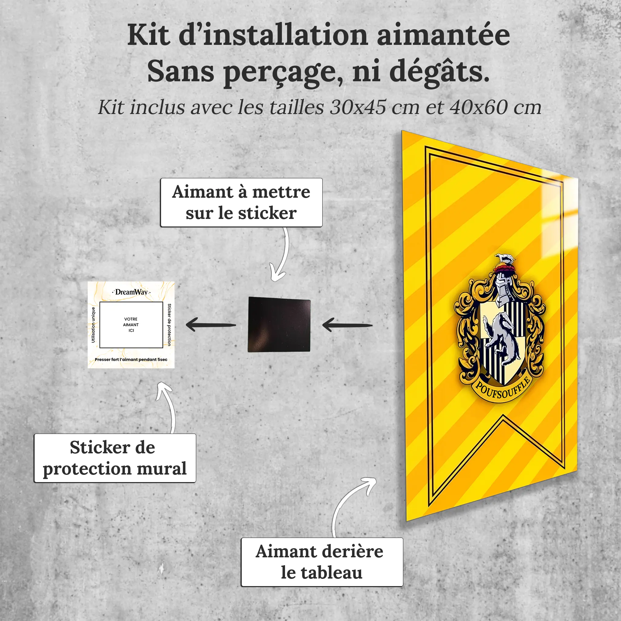 tableau-harry-potter-maison-poufsouffle-avec-installation-aimantee | DreamWay