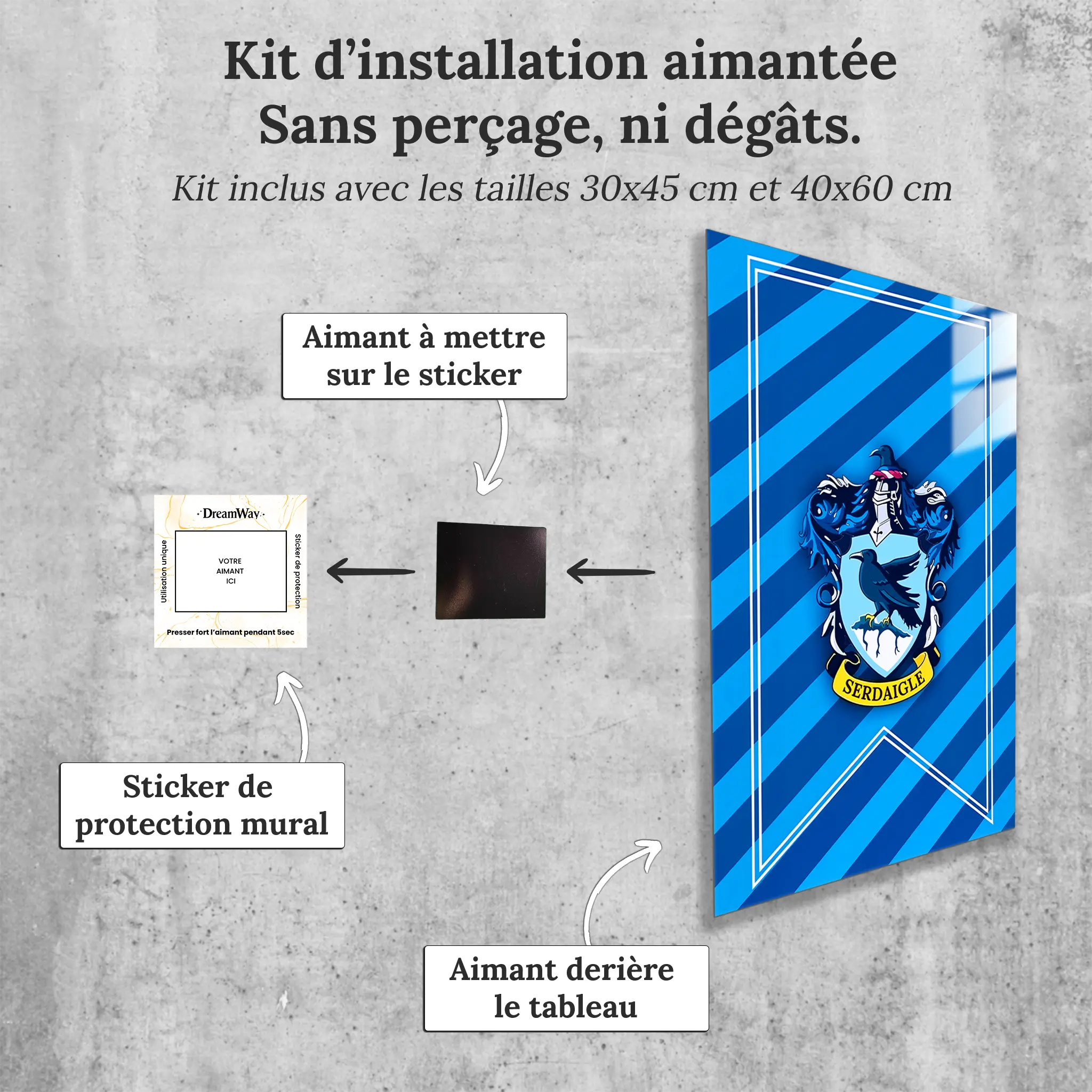 tableau-harry-potter-maison-serdaigle-avec-installation-aimantee | DreamWay
