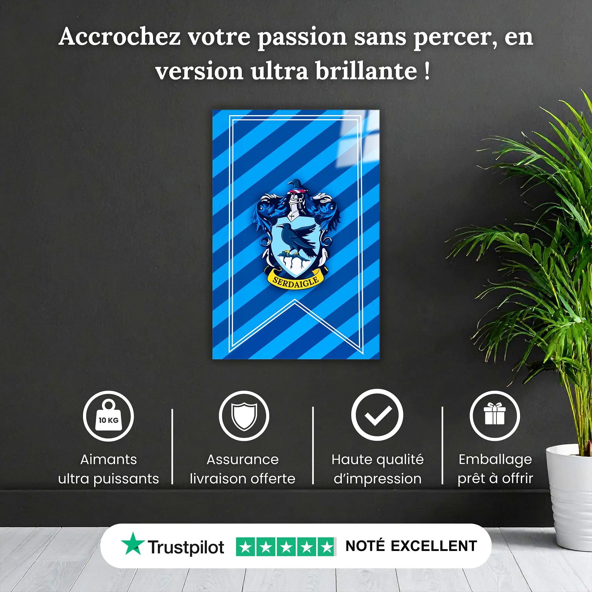 tableau-harry-potter-maison-serdaigle-pourquoi-acheter | DreamWay