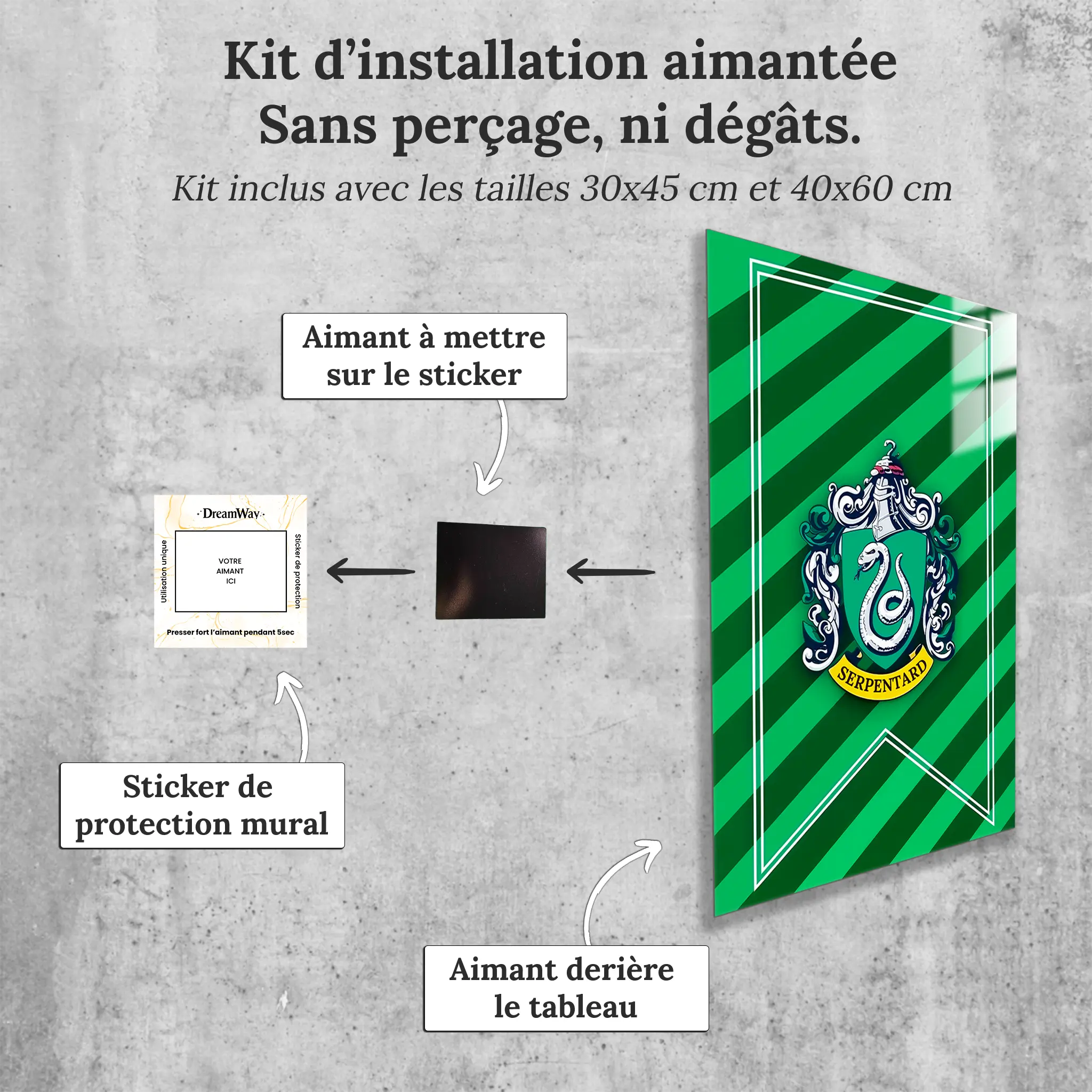tableau-harry-potter-maison-serpentard-avec-installation-aimantee | DreamWay