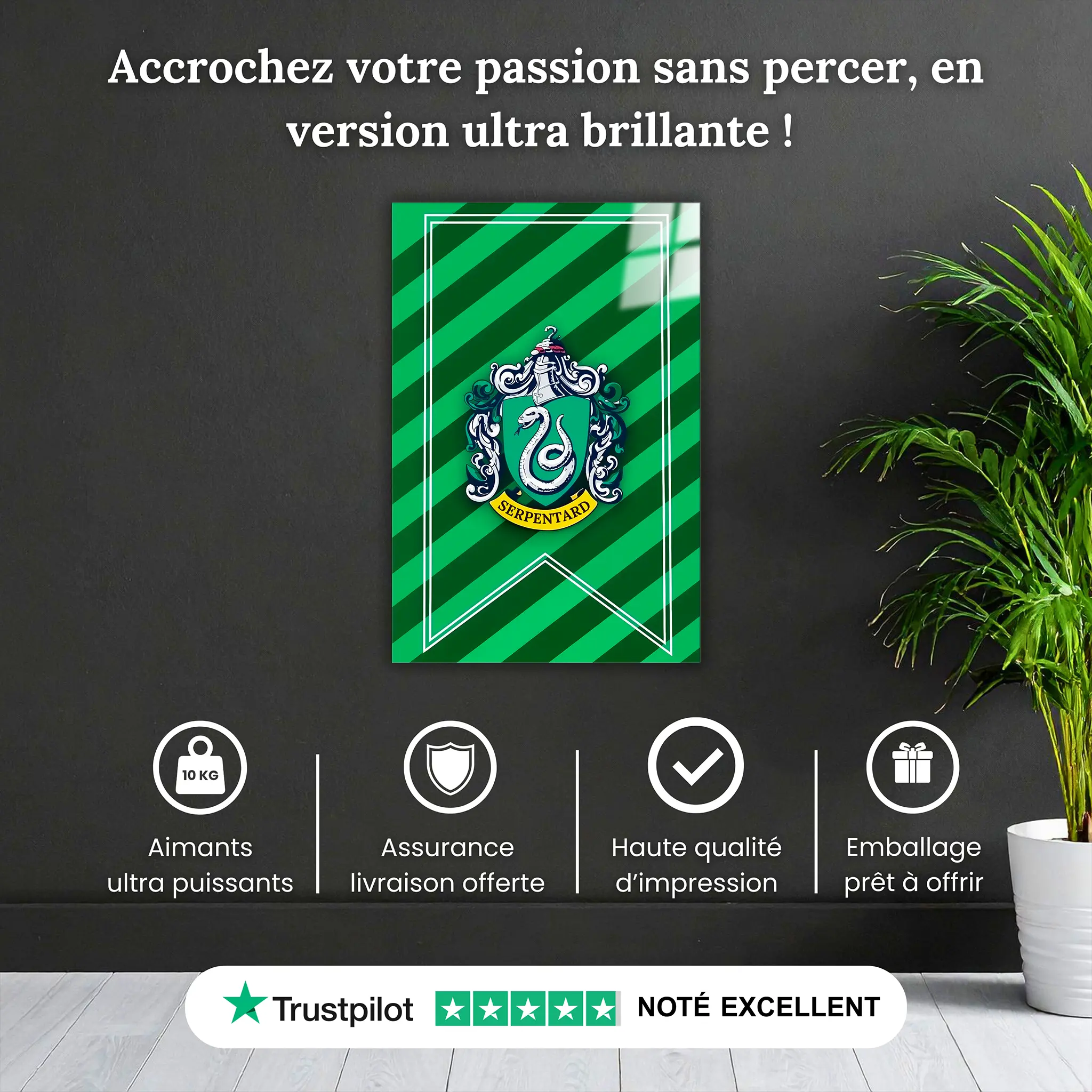 tableau-harry-potter-maison-serpentard-pourquoi-acheter | DreamWay
