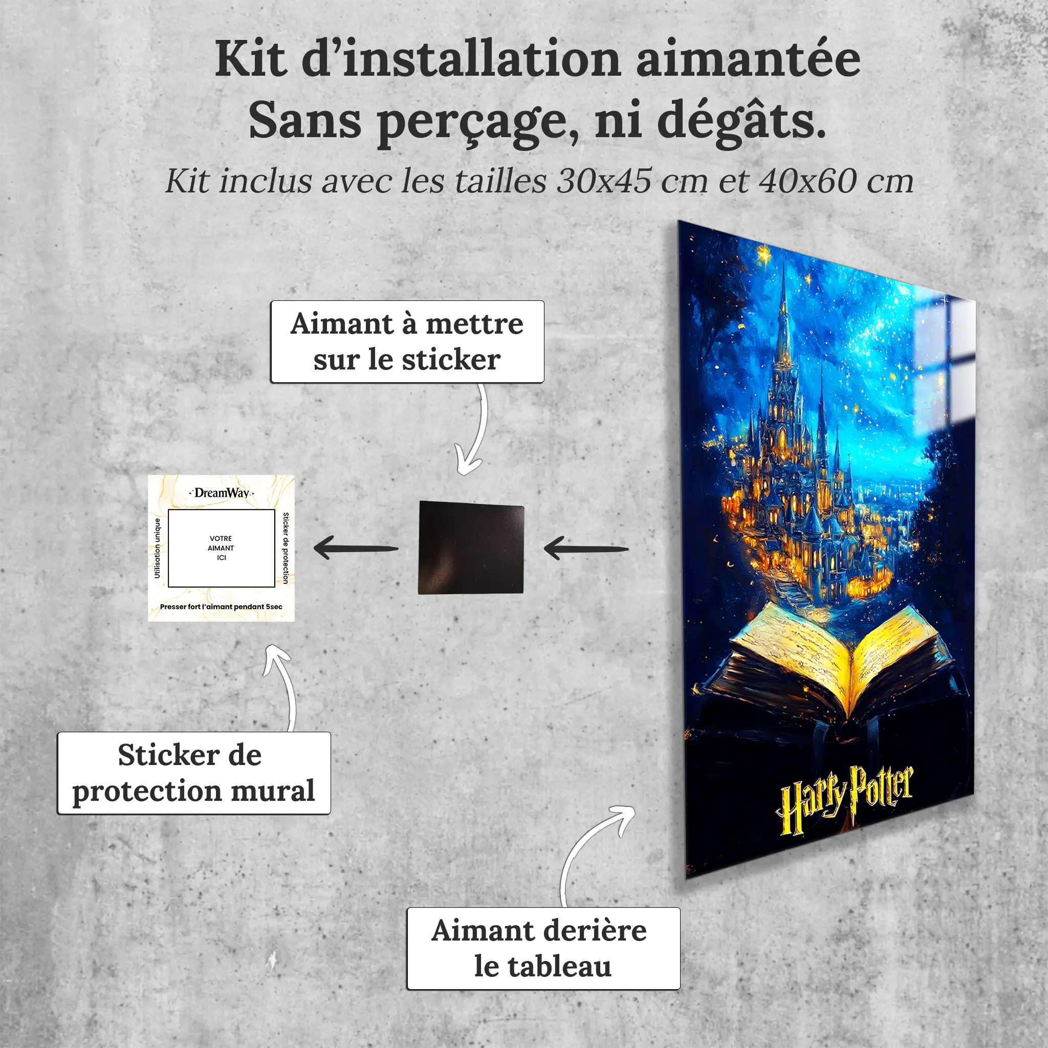 tableau-harry-potter-paysage-avec-installation-aimantee | DreamWay