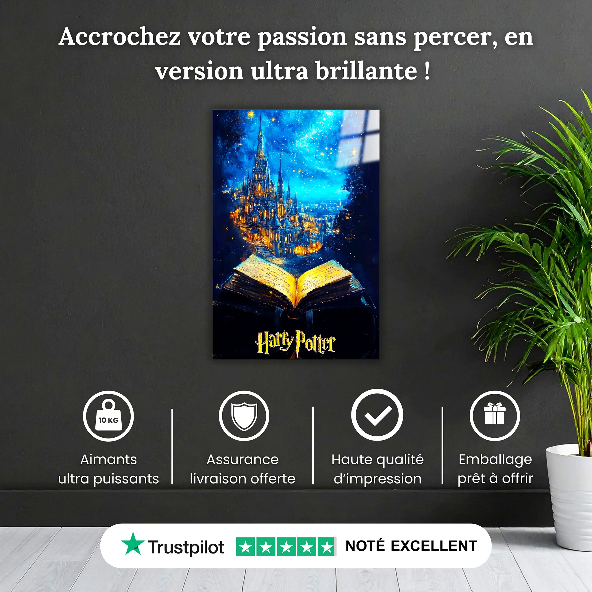 tableau-harry-potter-paysage-pourquoi-acheter | DreamWay