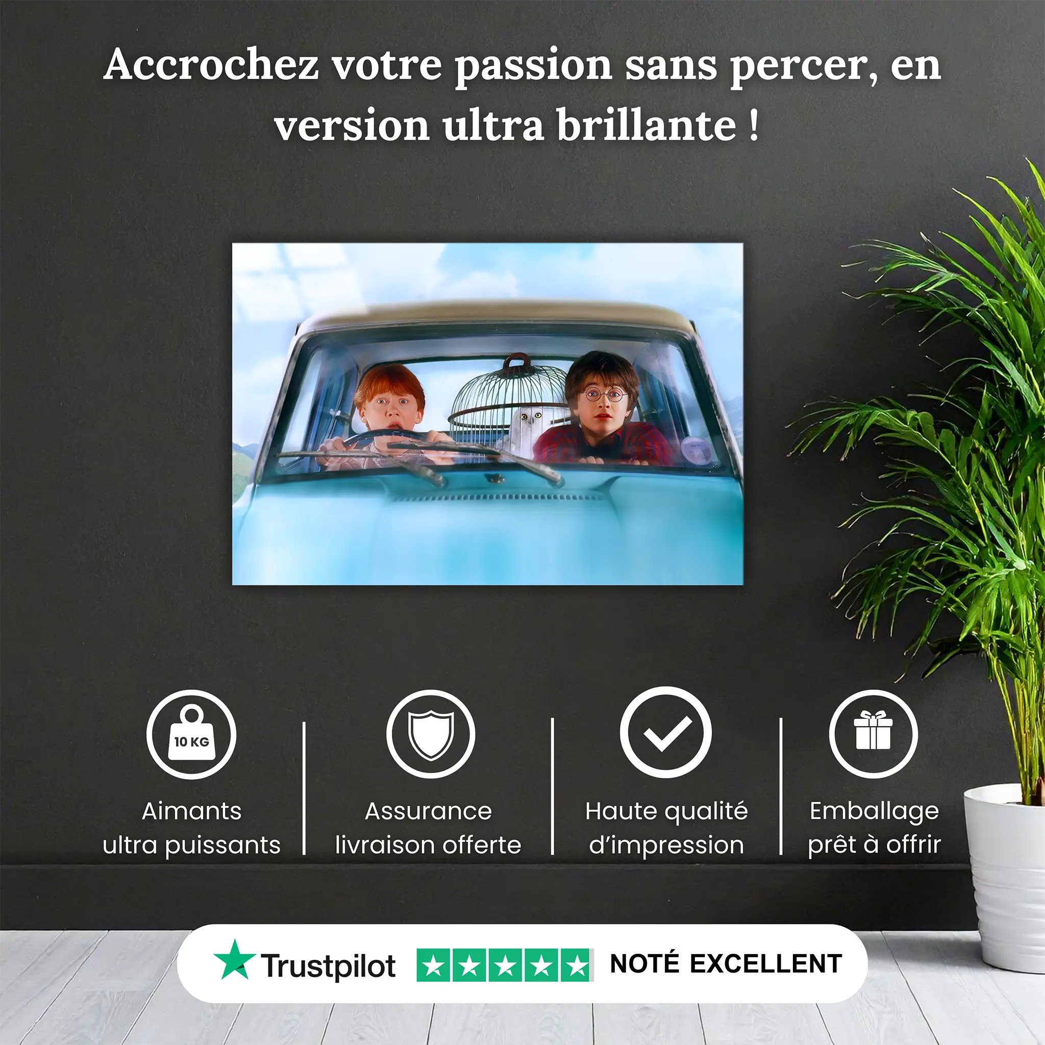 tableau-harry-potter-voiture-volante-pourquoi-acheter | DreamWay