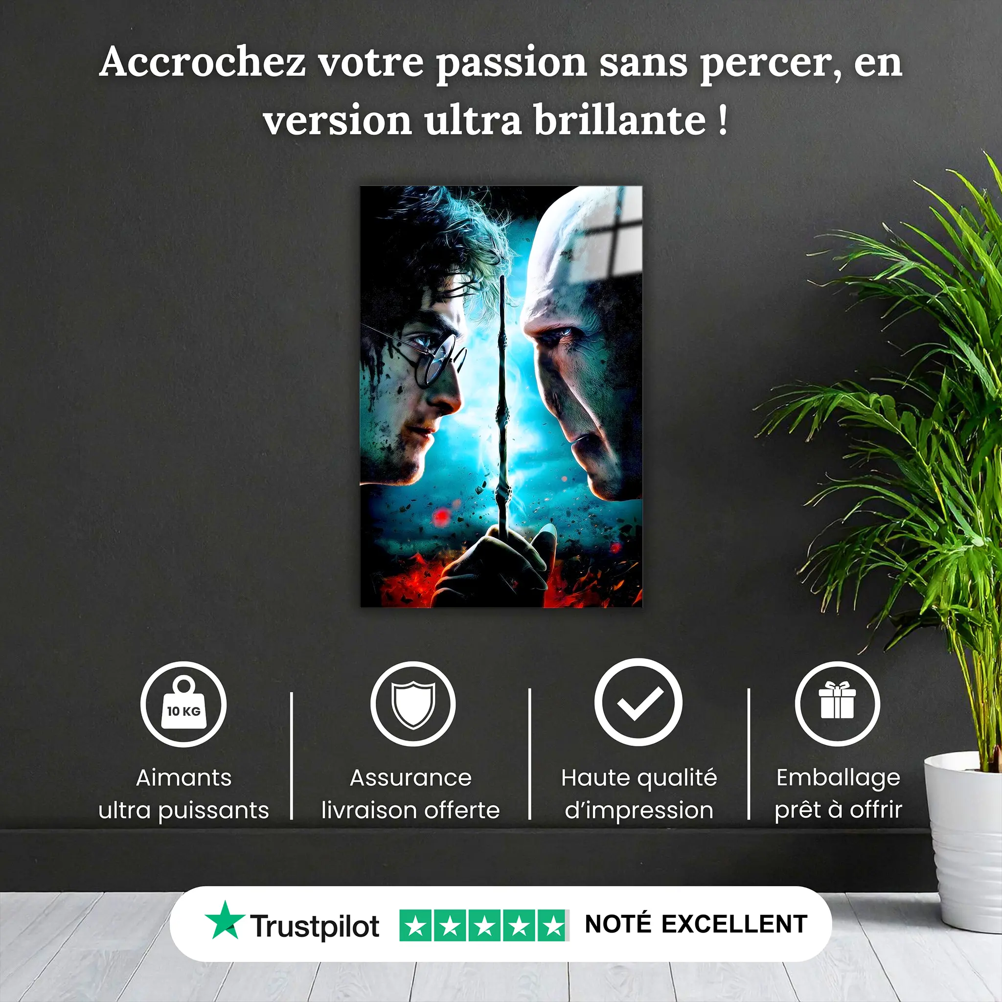 tableau-harry-potter-vs-voldemort-pourquoi-acheter | DreamWay