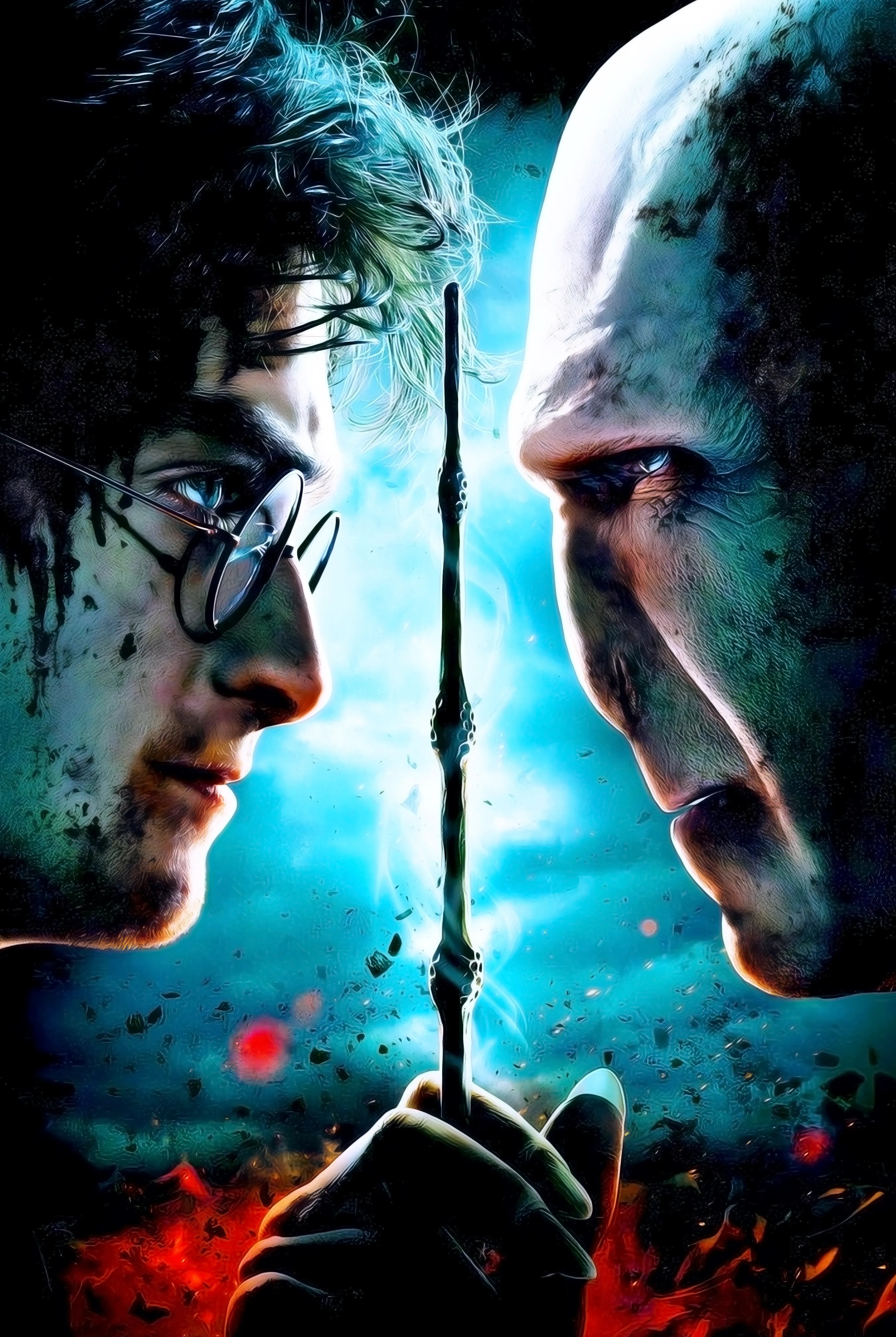 Tableau Harry Potter Vs Voldemort