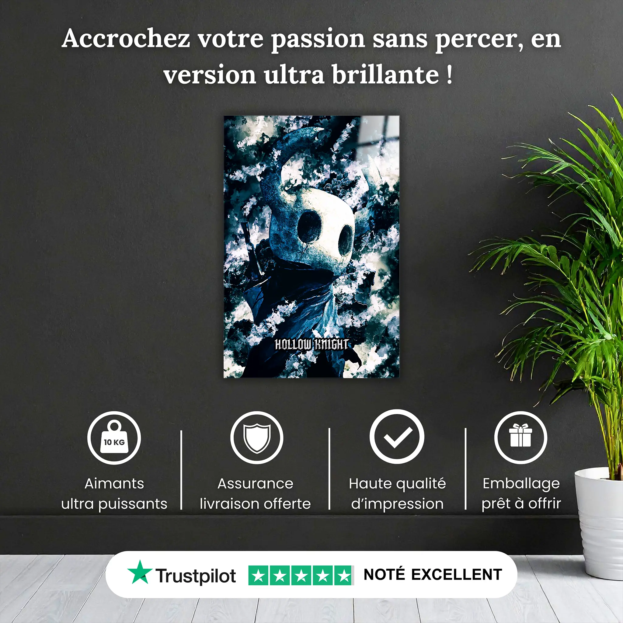 tableau-hollow-knight-pourquoi-acheter | DreamWay