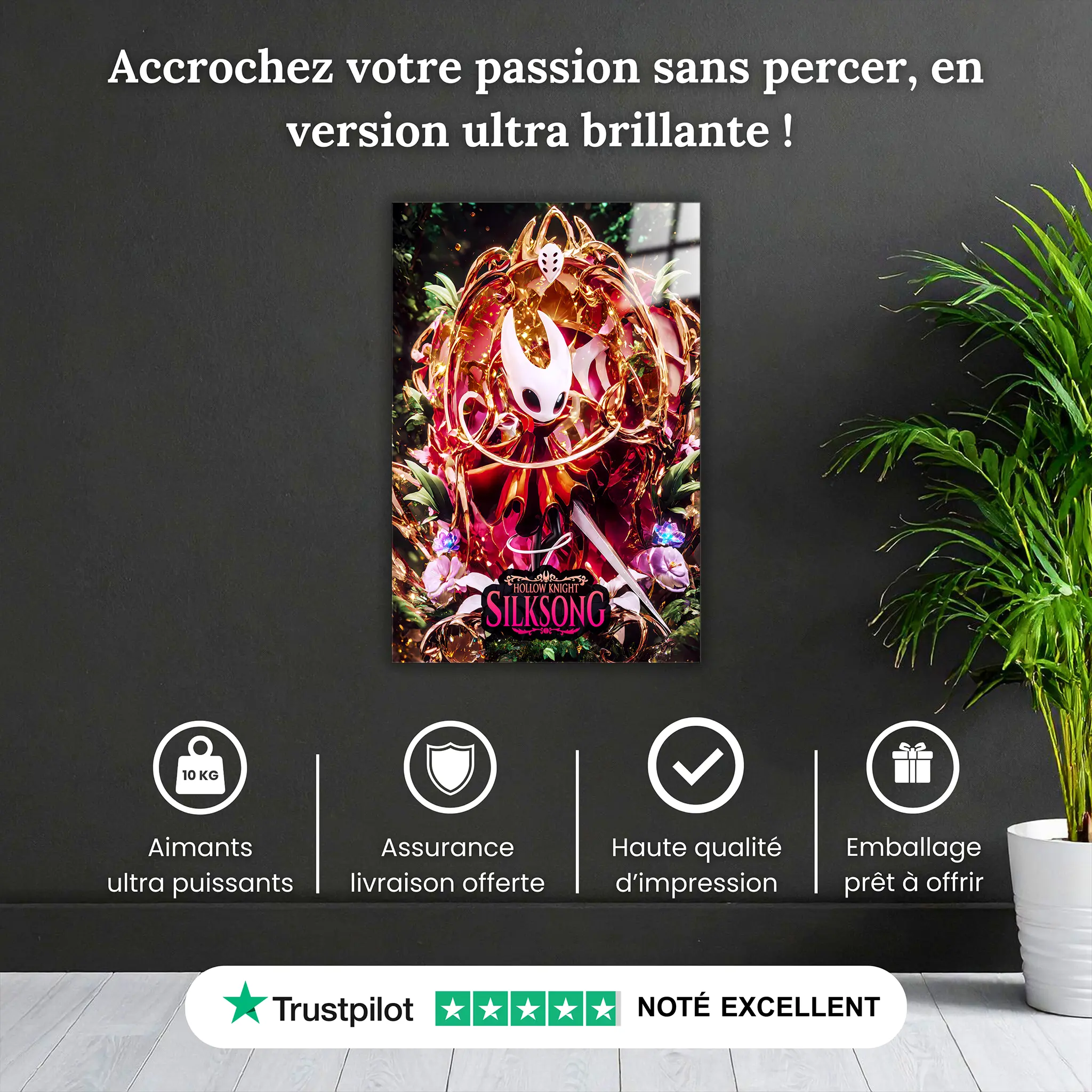 tableau-hollow-knight-silksong-pourquoi-acheter | DreamWay