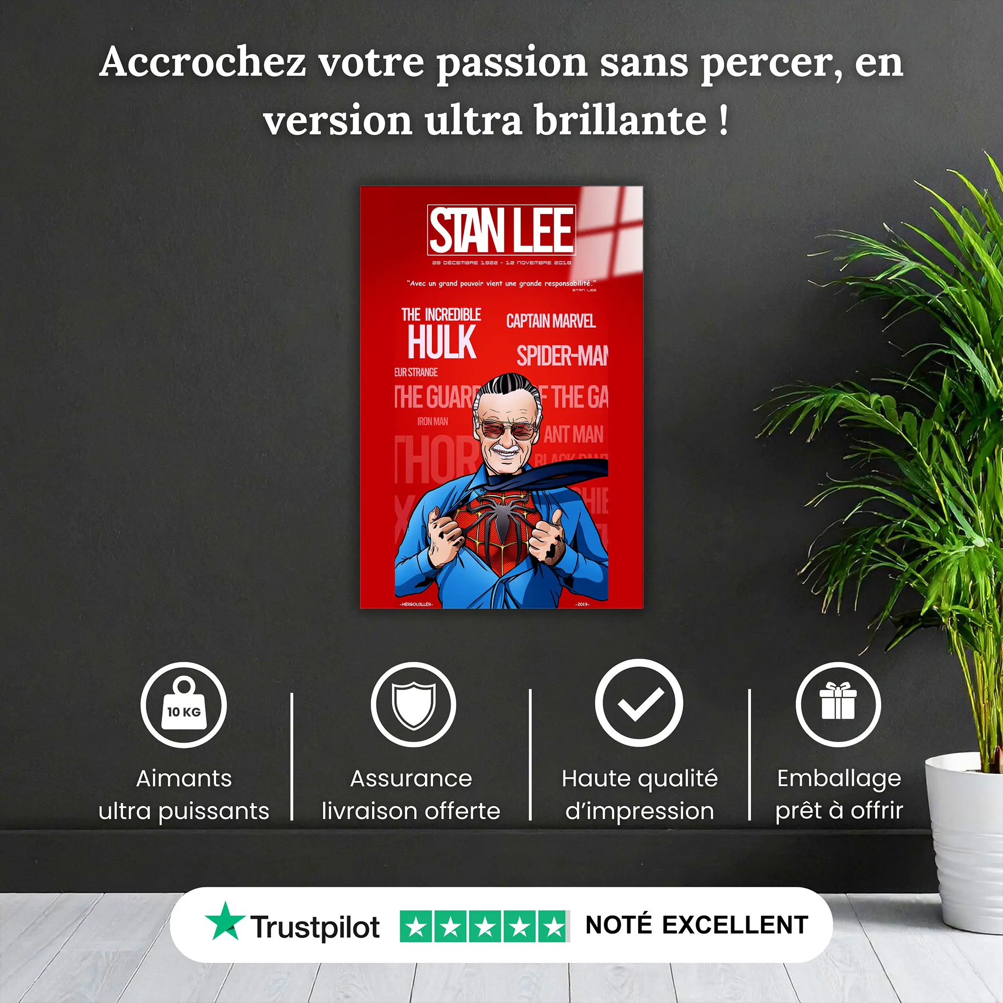 tableau-hommage-stan-lee-pourquoi-acheter | DreamWay